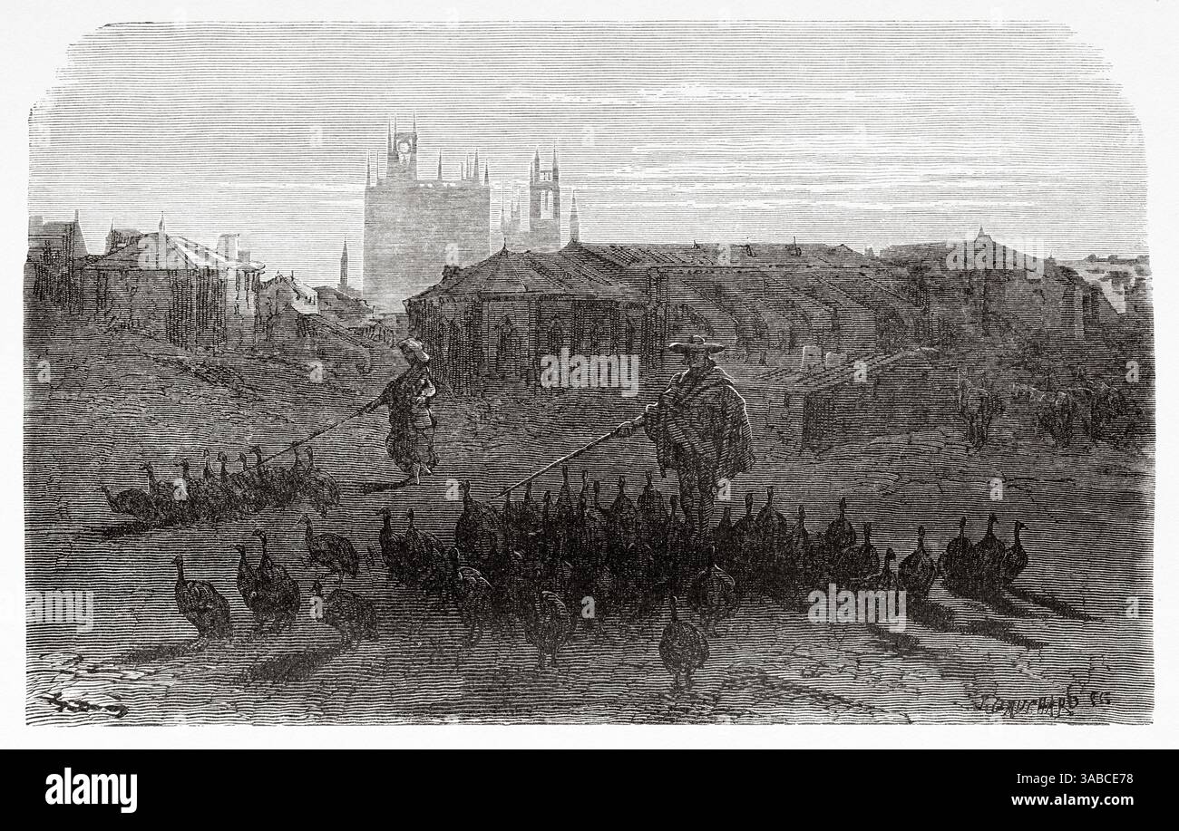 Agricoltori che si prendono cura dei tacchini a Palencia. Castiglia e León, Spagna, Europa. Viaggio in Spagna, 1862 di Jean Charles Davillier (1823-1883) disegno di Gustave Dore (1832-1883) le Tour du Monde 1872 Foto Stock