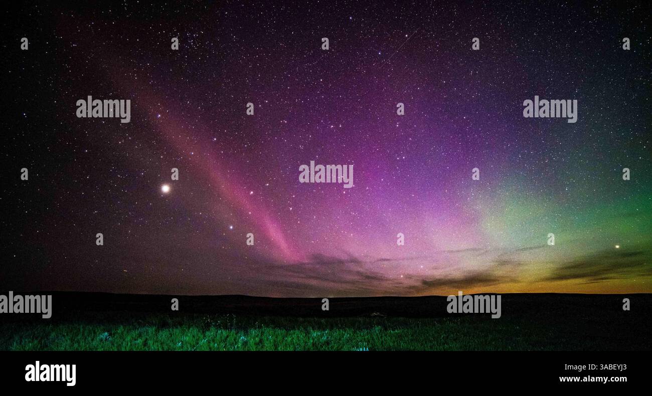15 marzo 2018 - Stati Uniti - un nuovo fenomeno celeste sta suscitando l'interesse di scienziati, fotografi e astronauti. L'esposizione fu inizialmente scoperta da un gruppo di scienziati cittadini che scattarono foto di luci insolite e le chiamarono scherzosamente "Steve". Da allora gli scienziati hanno imparato di più sui viola e sui verdi, e gli hanno dato un nome più preciso: Strong Thermal Emission Velocity Enhancement, che può ancora essere abbreviato in STEVE. (Immagine di credito: © Megan Hoffman/NASA via ZUMA Wire/ZUMAPRESS.com) Foto Stock