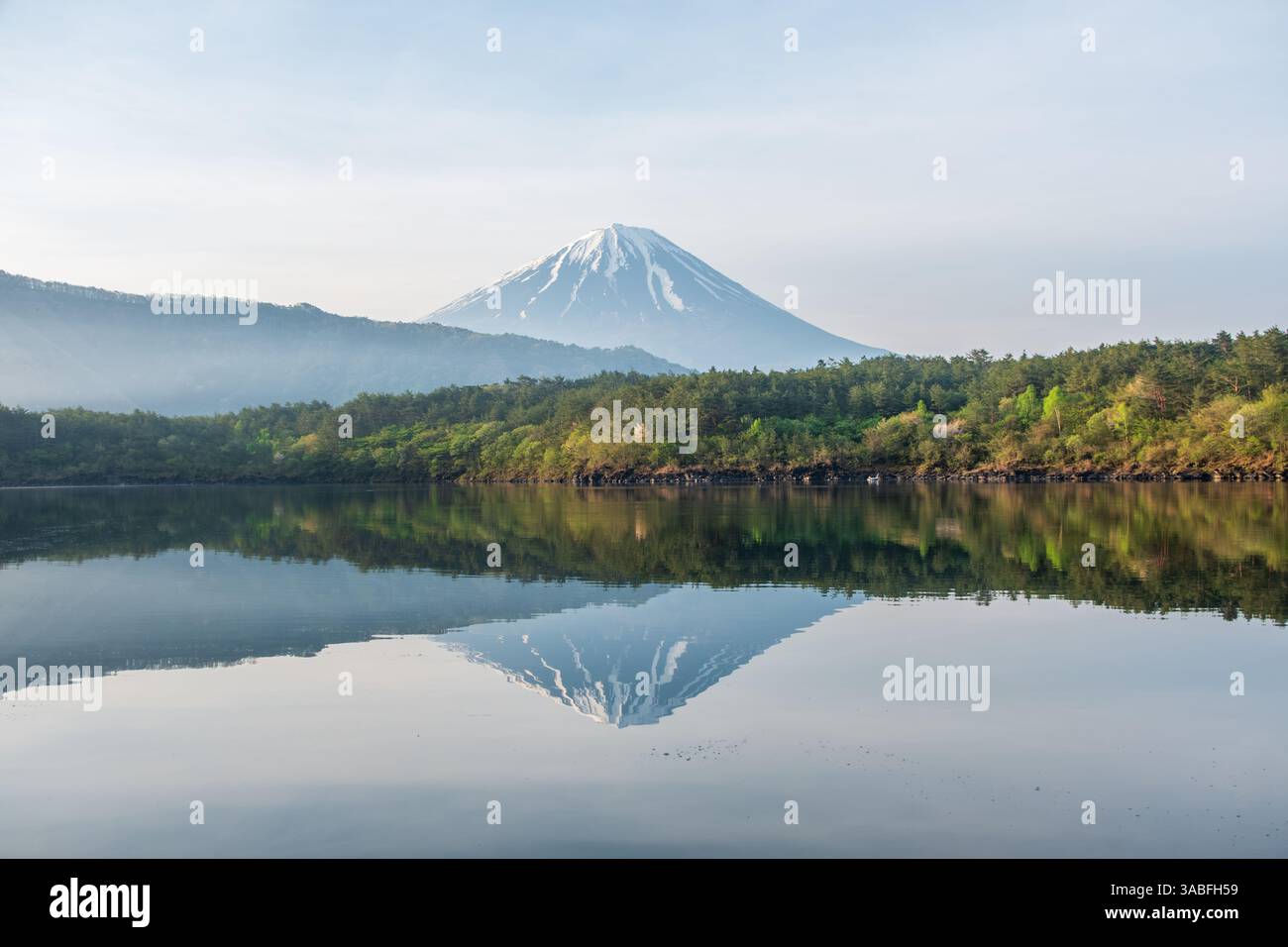 Monte Fuji riflesso nel lago Saiko (lago occidentale), Fuji Five Lakes, Fujikawaguchik, prefettura di Yamanashi, Honshu, Giappone Foto Stock