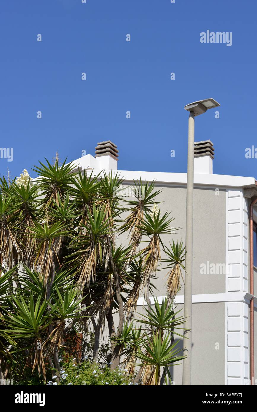 Lampione stradale e un gruppo di piccole palme o piante di yucca a ridosso di un edificio residenziale Foto Stock
