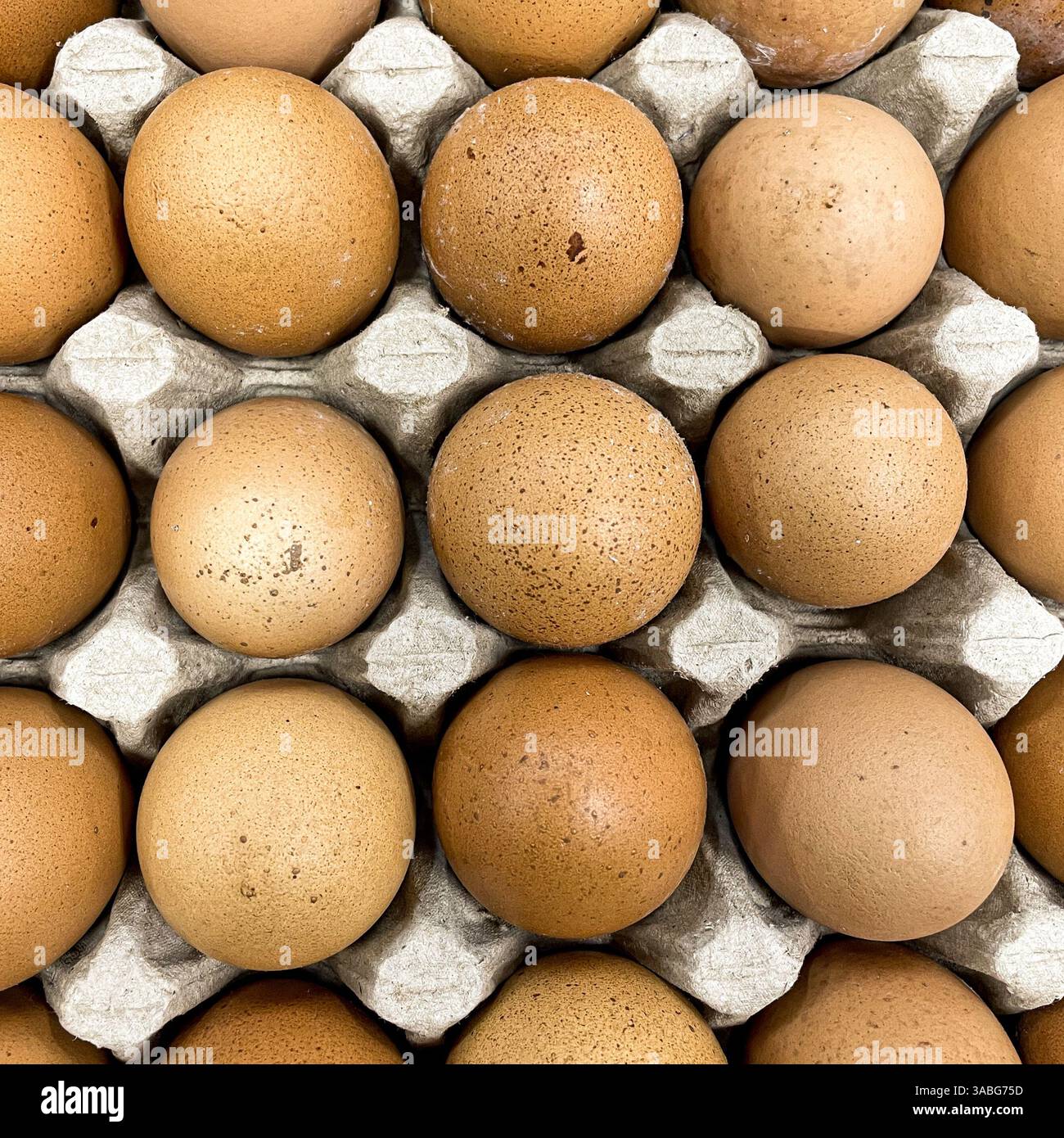 vista dall'alto delle uova biologiche di pollo Foto Stock