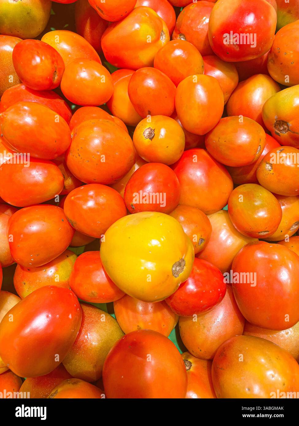 pomodori freschi esposti sul mercato come sfondo alimentare - Immagine stock catturata con smartphone