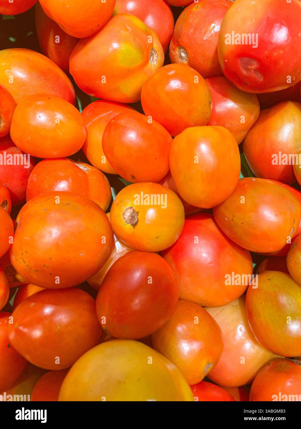 pomodori freschi esposti sul mercato come sfondo alimentare - Immagine stock catturata con smartphone