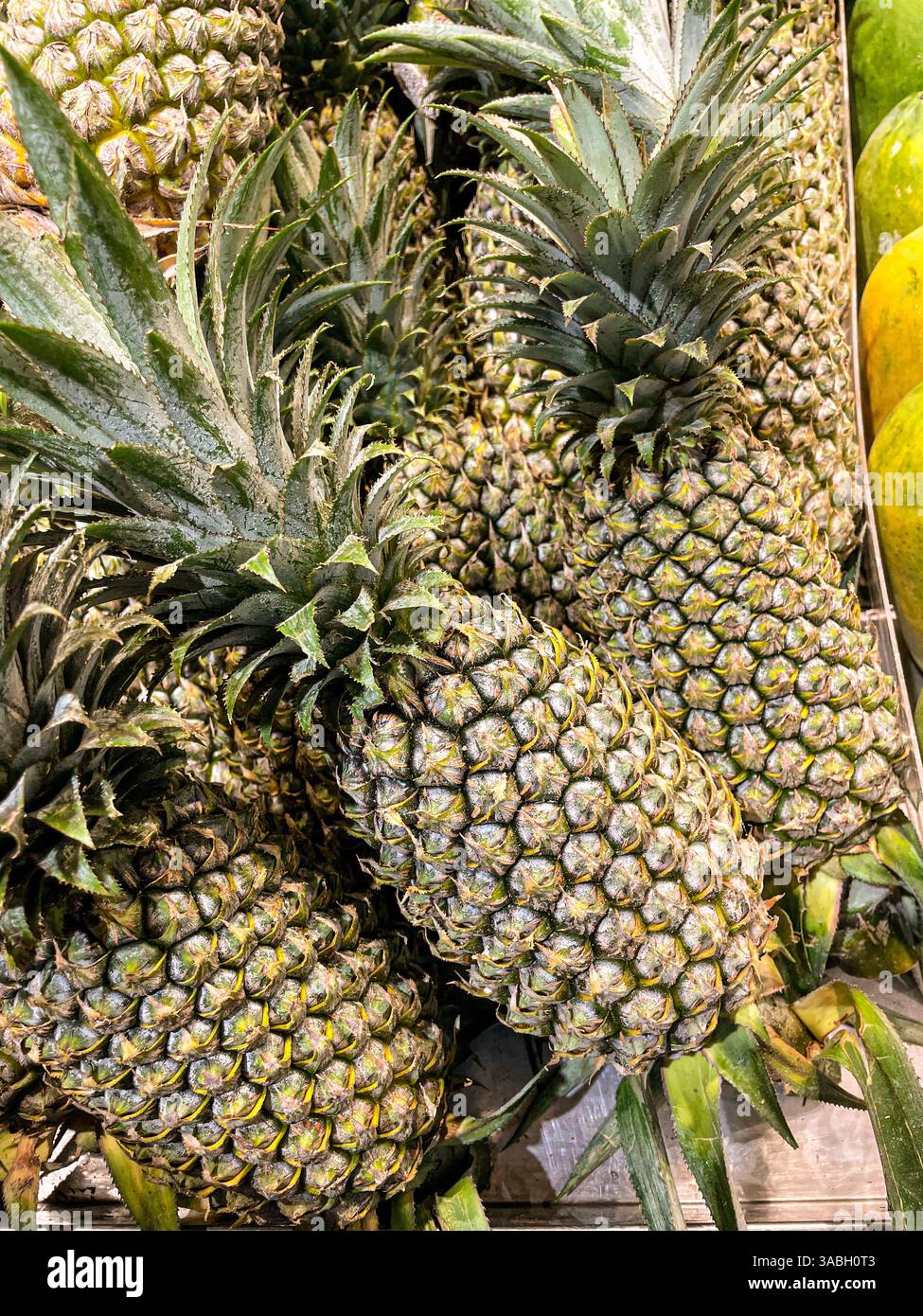 mucchio di frutta fresca matura di ananas esposta sul mercato, sfondo alimentare - Immagine stock catturata con smartphone