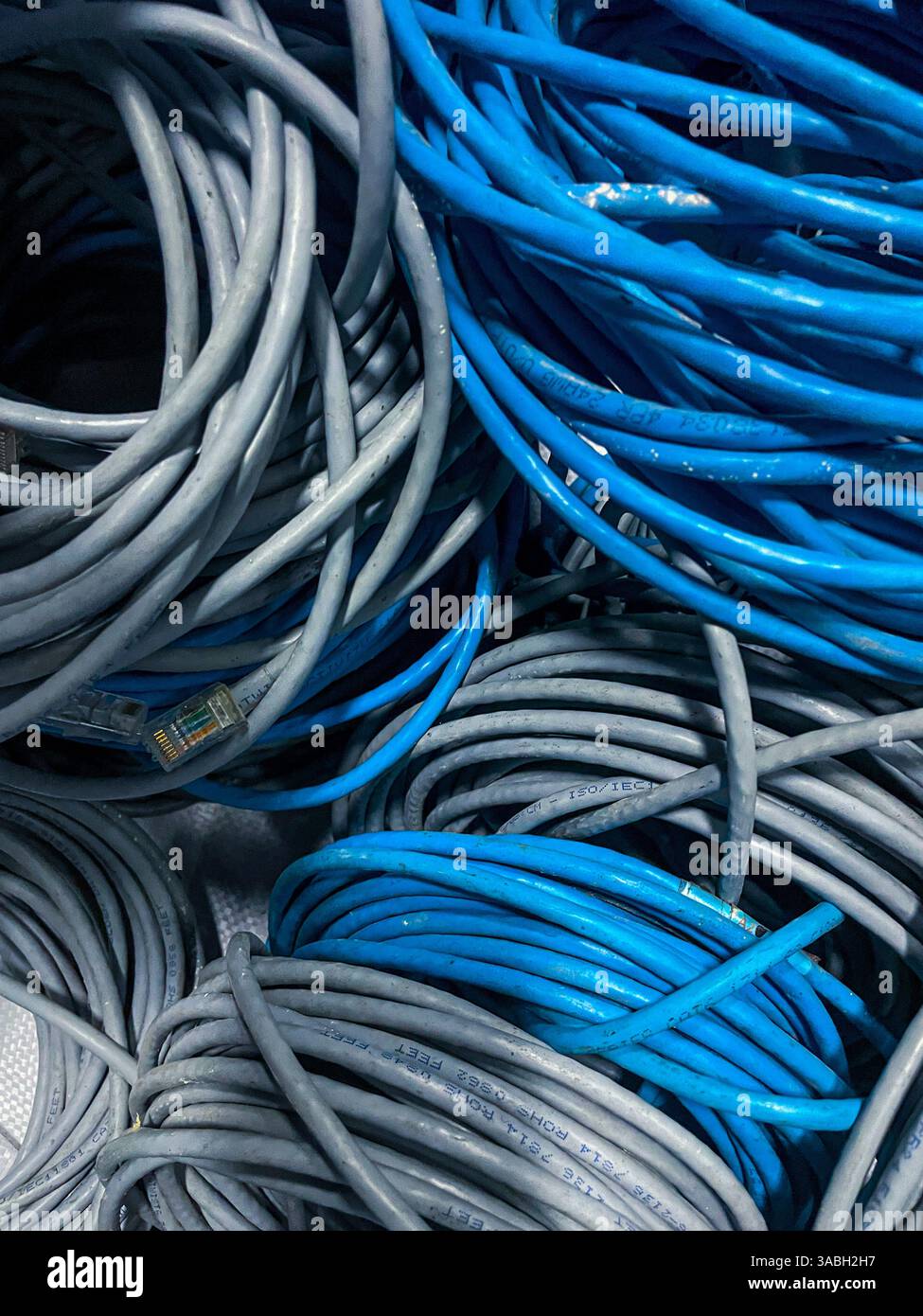 Fascio di cavo LAN rotolato blu e grigio inutilizzato o cavo di rete come sfondo Foto Stock