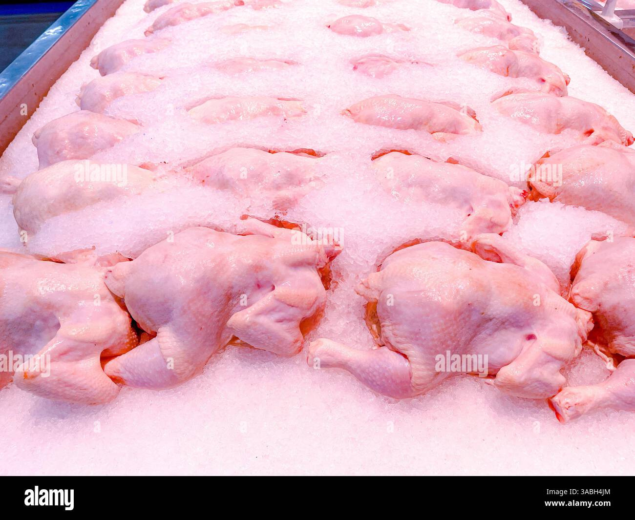Polli interi freschi, congelati, ricoperti di ghiaccio nella sezione «carne di mercato» - Immagine stock catturata con smartphone
