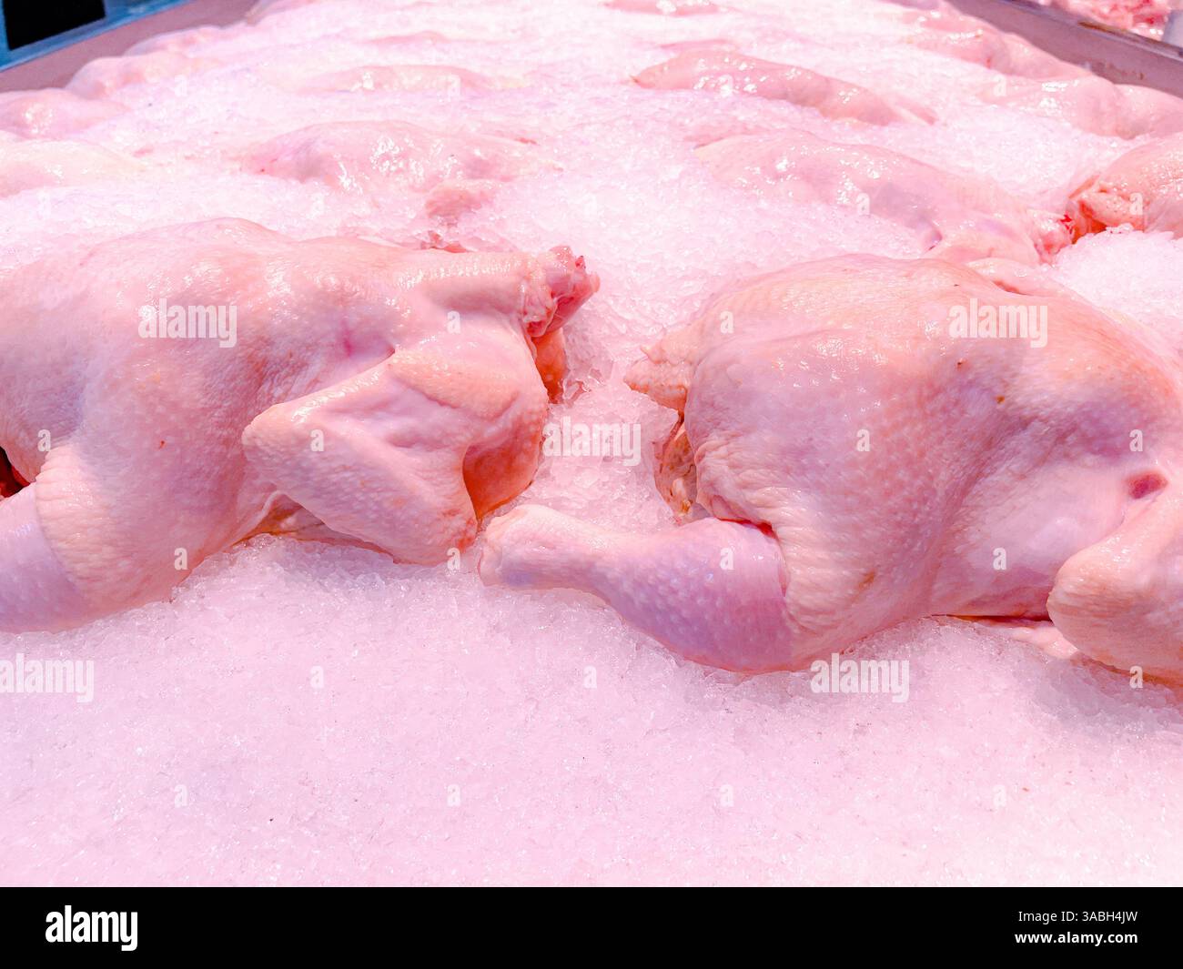 Polli interi freschi, congelati, ricoperti di ghiaccio nella sezione «carne di mercato» - Immagine stock catturata con smartphone