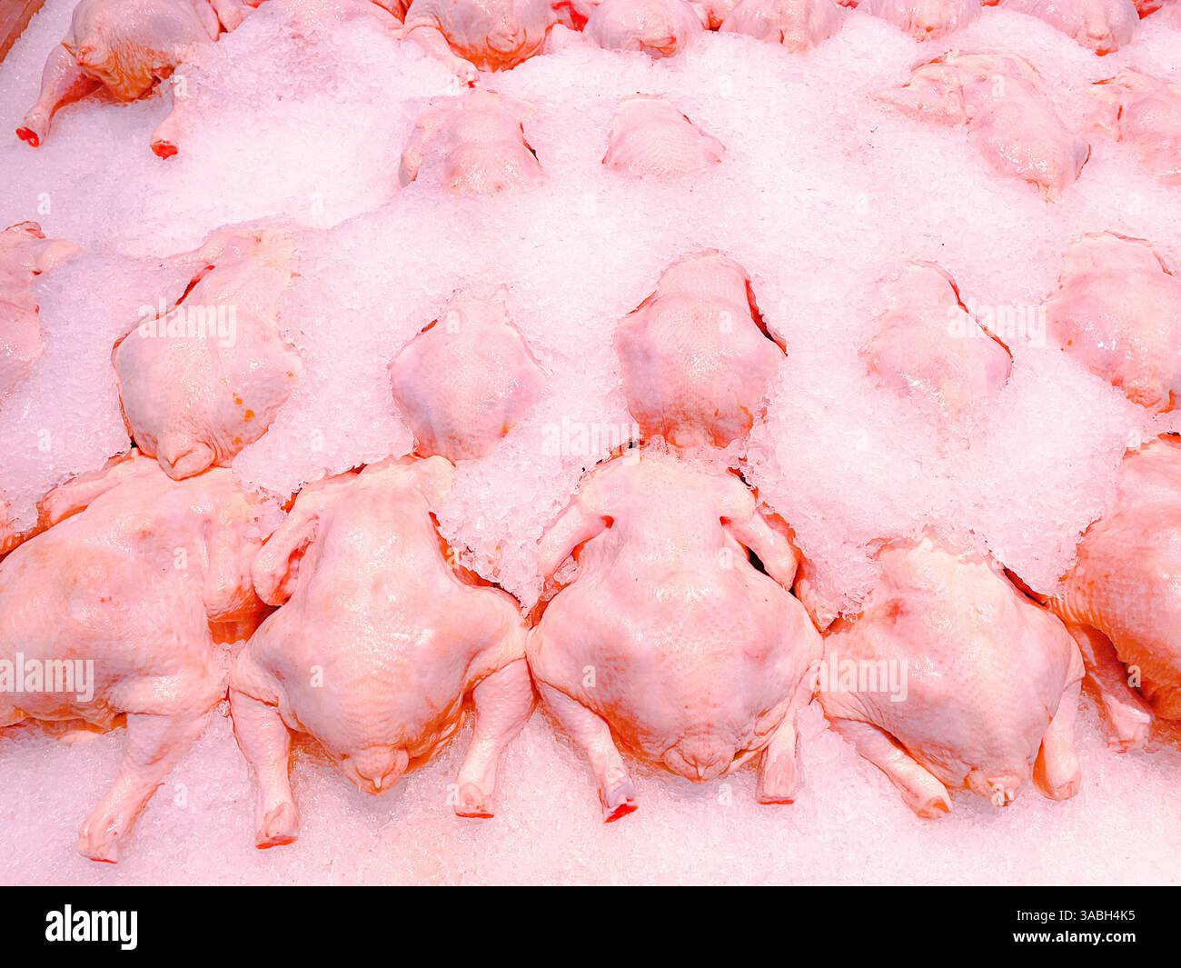 Polli interi freschi, congelati, ricoperti di ghiaccio nella sezione «carne di mercato» - Immagine stock catturata con smartphone