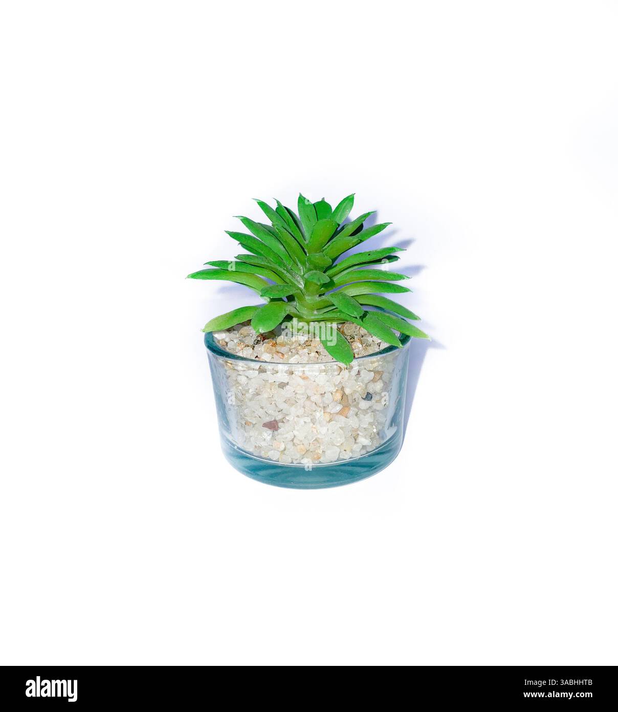 Splendide decorazioni di piante artificiali, verde da tavolo per la casa con vasi in vetro trasparente isolati su sfondo bianco. Foto Stock Splendide decorazioni di piante artificiali, verde da tavolo per la casa con vasi in vetro trasparente isolati su sfondo bianco. Foto Stock