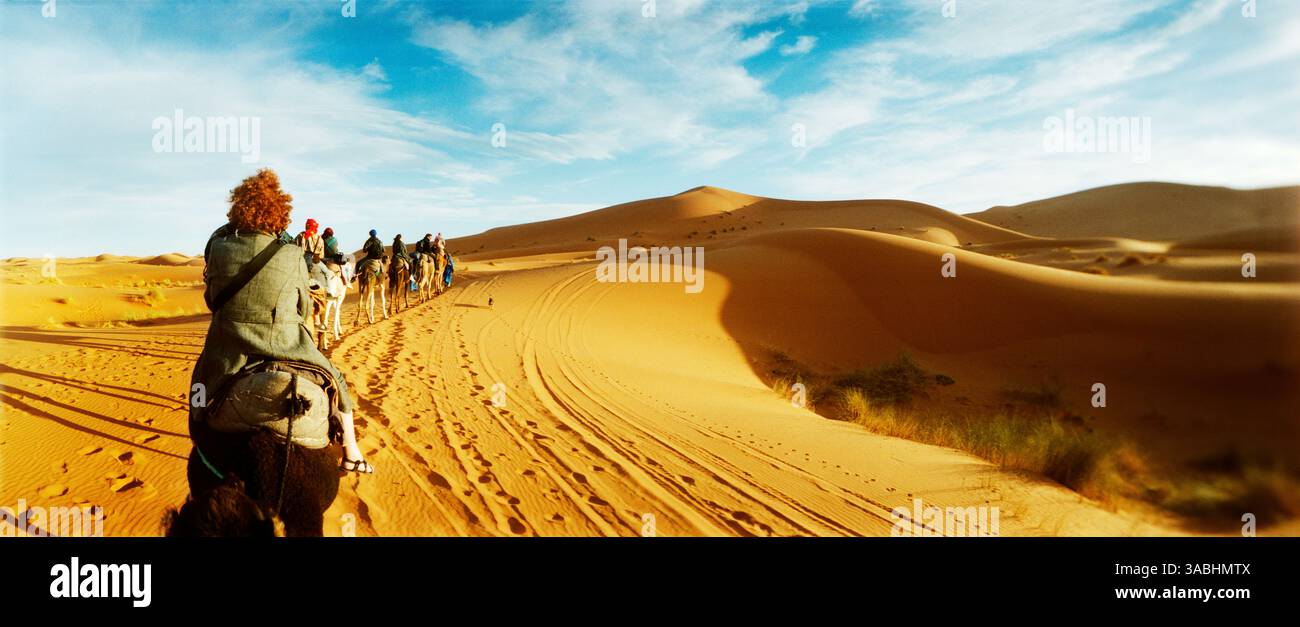 Vista panoramica di turisti che cavalcano cammelli attraverso il paesaggio del deserto del Sahara, Marocco Foto Stock