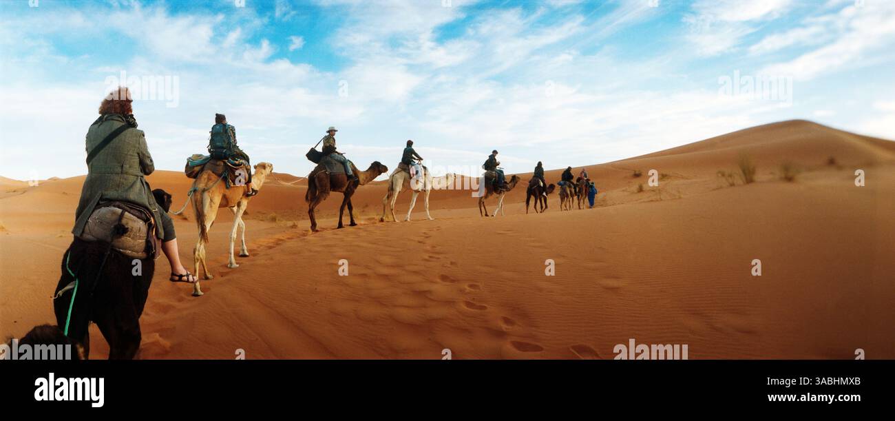 Vista panoramica di turisti che cavalcano cammelli attraverso il paesaggio del deserto del Sahara, Marocco Foto Stock
