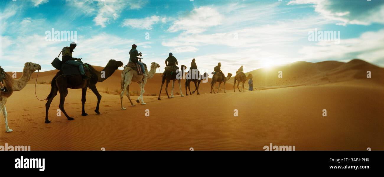 Vista panoramica dei turisti che cavalcano cammelli attraverso il paesaggio del deserto del Sahara condotto da un uomo berbero, il Marocco Foto Stock