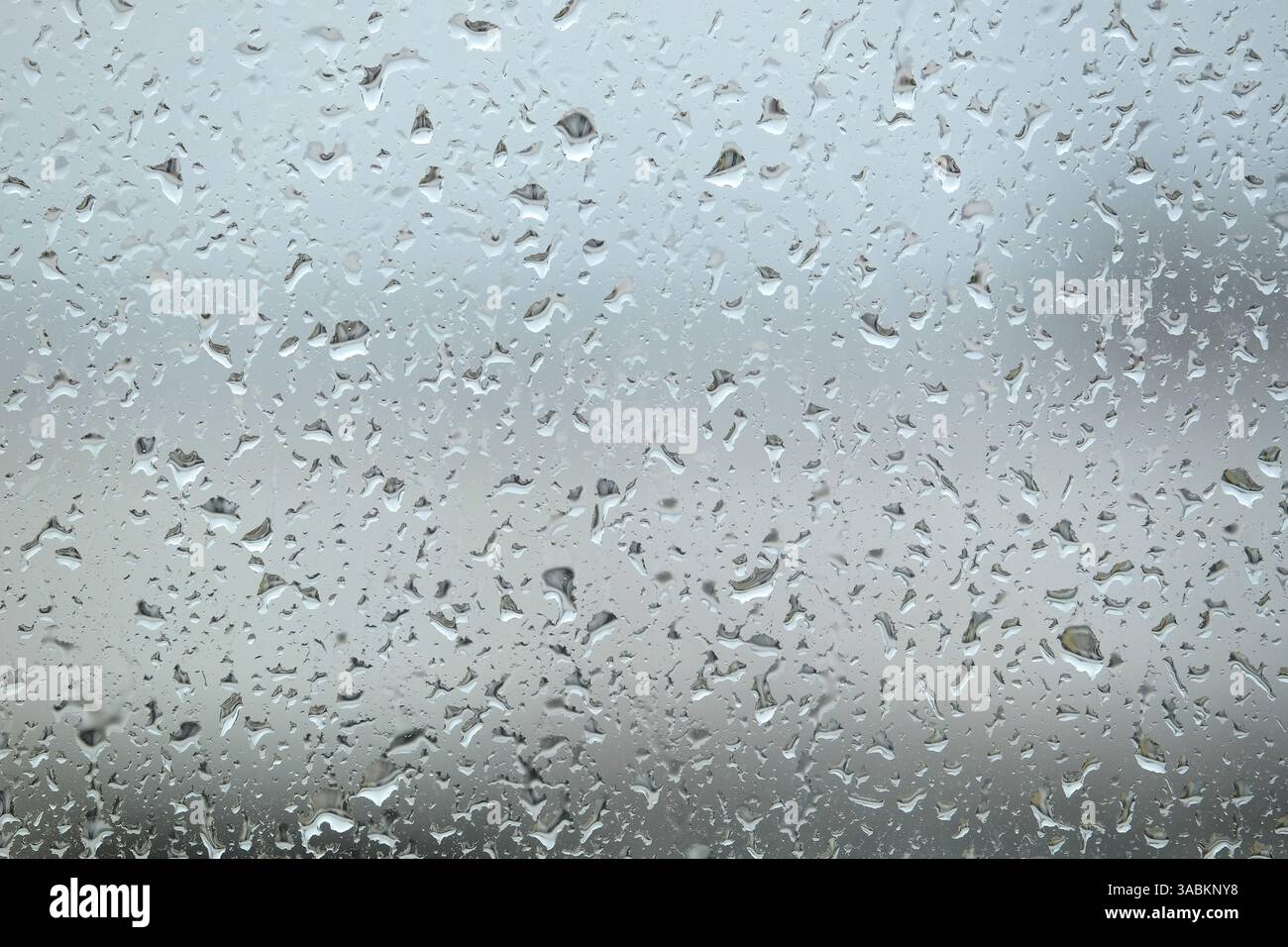Lo sfondo con gocce di pioggia scorre verso il basso sul vetro della finestra su sfondo grigio sfocato Vista frontale ravvicinata Foto Stock