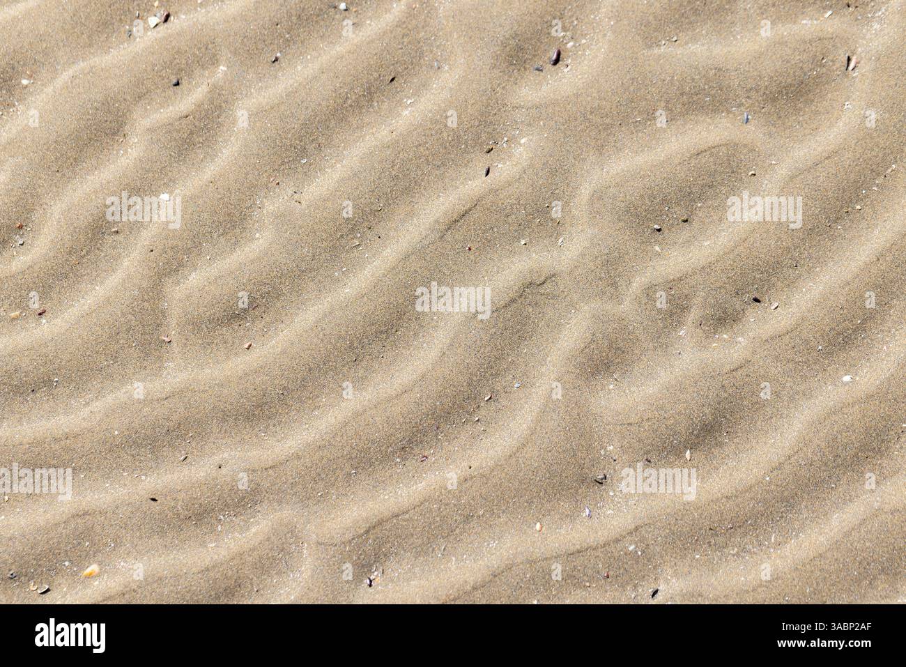 Vista ravvicinata della sabbia con motivi ondulati formati da processi naturali, esaltati dalla luce del sole. Perfetto per progetti astratti, texture o a tema naturale Foto Stock