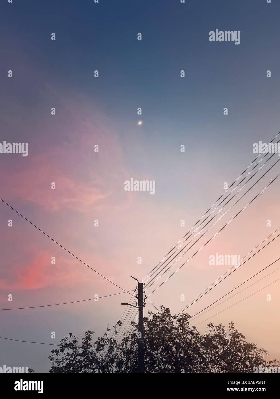 Sagoma della colonna elettrica con cavi sullo sfondo viola del cielo del tramonto con la luna che splende nel cielo - Immagine stock catturata con smartphone