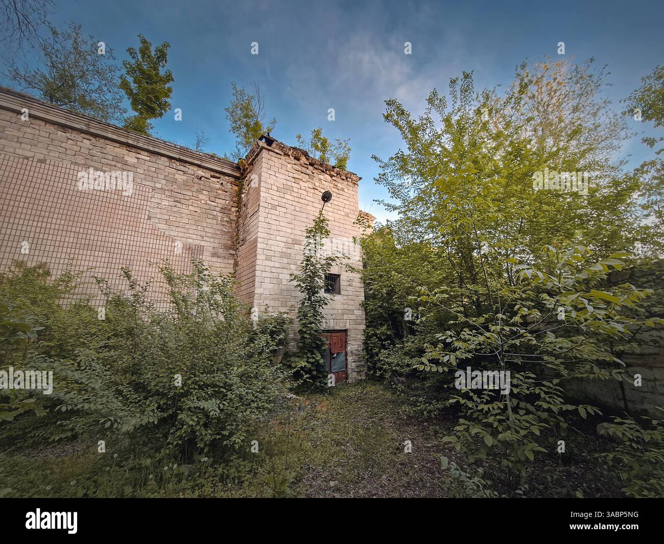 Vecchio edificio abbandonato con pareti incrinate e alberi che crescono sul tetto - Immagine stock catturata con smartphone