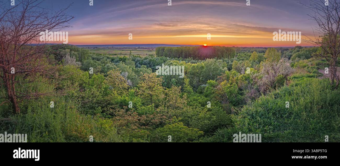 Vista panoramica estiva dalla cima di una collina sopra la foresta verde e il tramonto all'orizzonte - Immagine stock catturata con smartphone