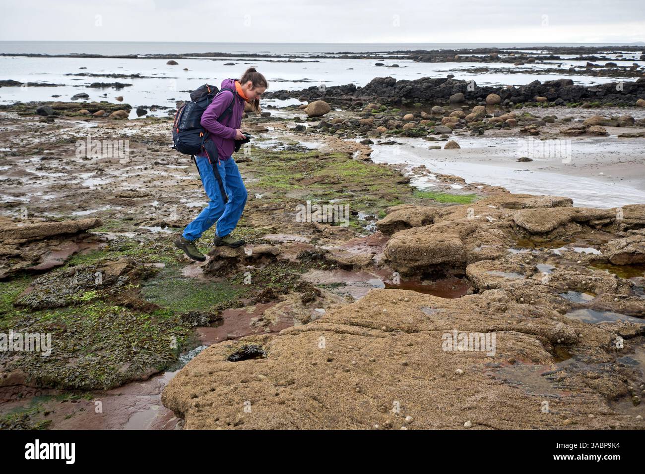 Giovane donna alla ricerca dell'impronta di dinosauro visibile con la bassa marea sulla riva di Kildonan, Isola di Arran, Scozia, Regno Unito. Foto Stock