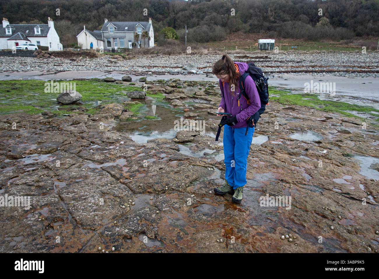 Giovane donna che fotografa l'impronta di dinosauro visibile durante la bassa marea sulla riva di Kildonan, Isola di Arran, Scozia, Regno Unito. Foto Stock