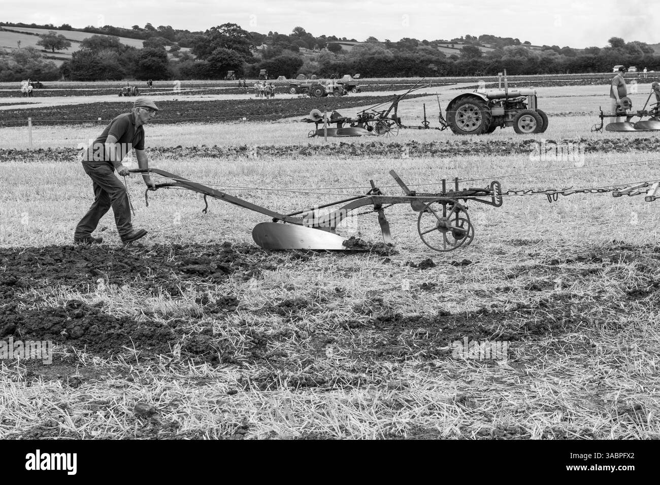 Haselbury Plucknet.Somerset.Regno Unito. 17 agosto 2024.Un aratro a trazione di cavallo viene utilizzato durante un evento agricolo di Yesterdays Foto Stock