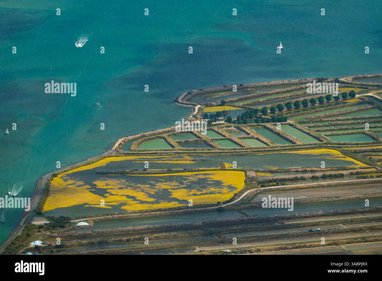 Francia, Charente-Maritime (17), Ile de Re Island, Ars-en-re, baia Fier d'Ars e bacins De la chasse de la pree (vista aerea) Foto Stock