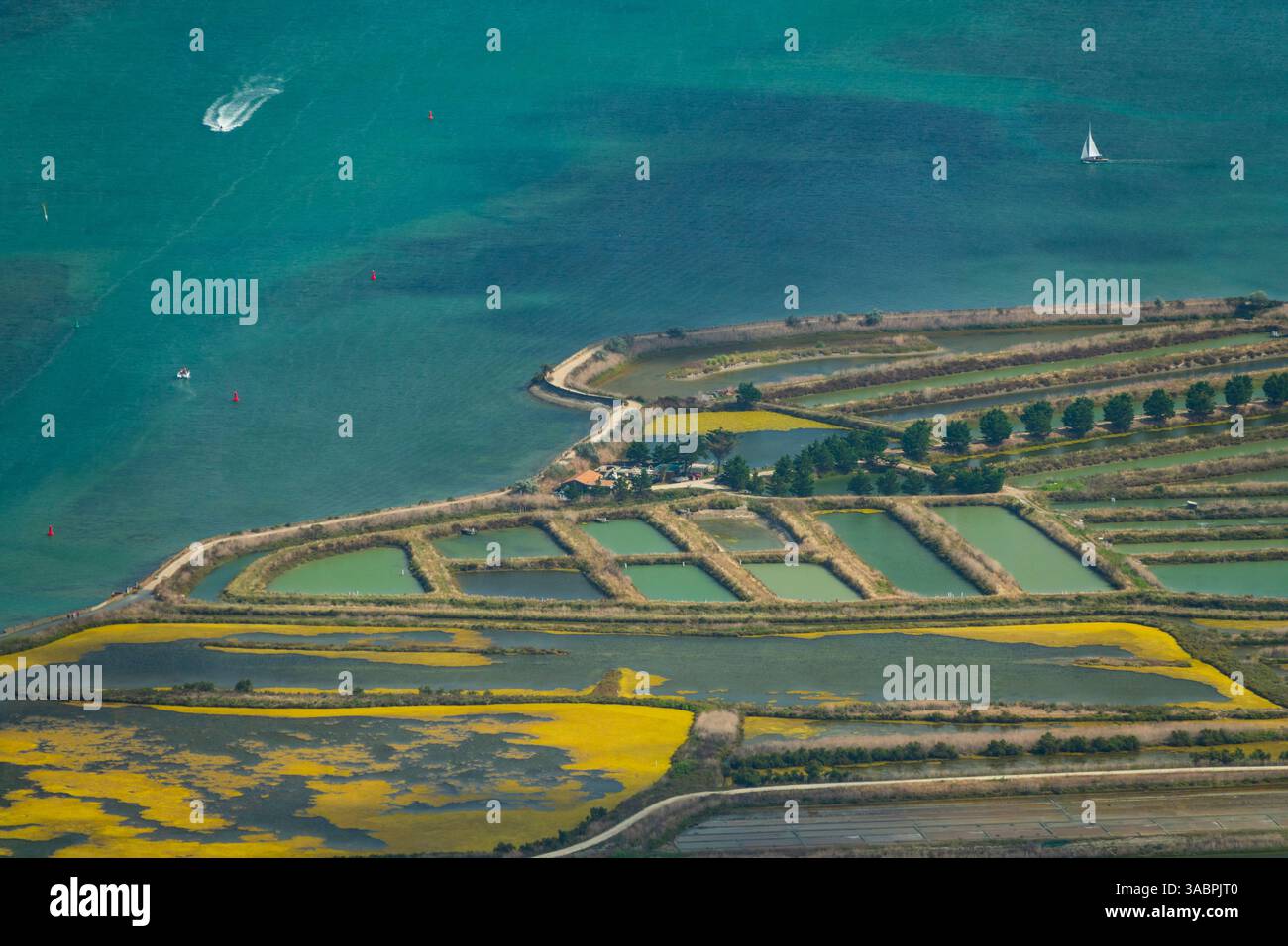 Francia, Charente-Maritime (17), Ile de Re Island, Ars-en-re, baia Fier d'Ars e bacins De la chasse de la pree (vista aerea) Foto Stock