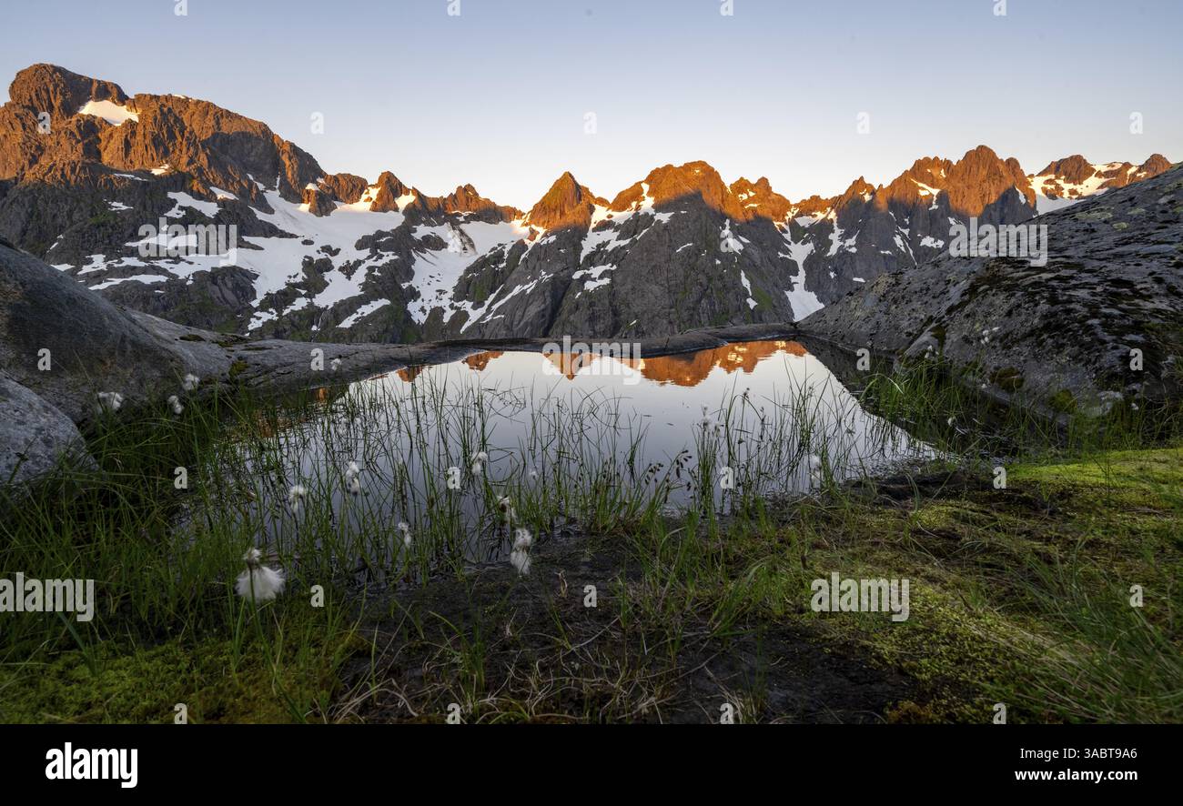 Cime rocciose con riflesso, piccolo stagno con erba di cotone nel paesaggio brughiero del Trollfjord Hytta, paesaggio montano con alpenglow all'alba Foto Stock