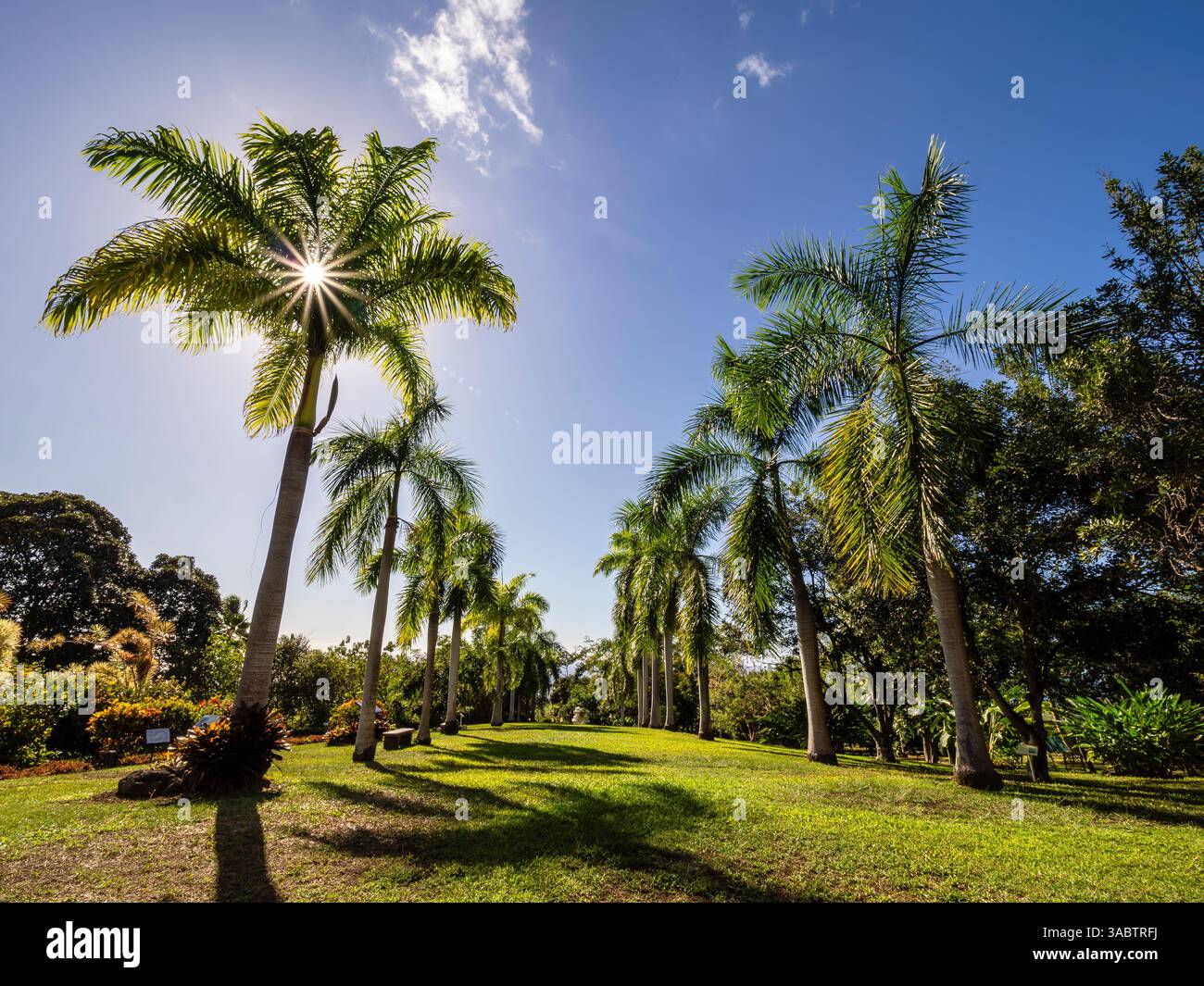 Paleaku Gardens Peace Sanctuary a Kona sulla Big Island, Hawaii. Foto Stock