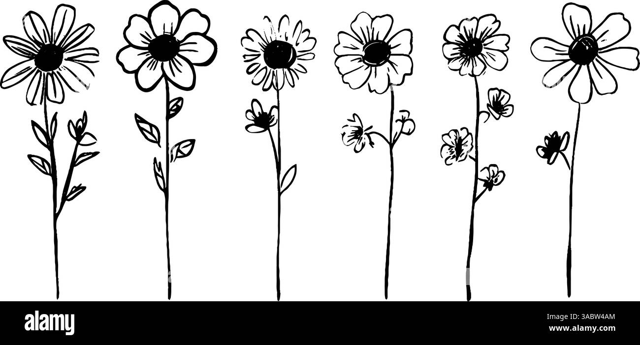 Collezione di fiori disegnata a mano Illustrazione Vettoriale