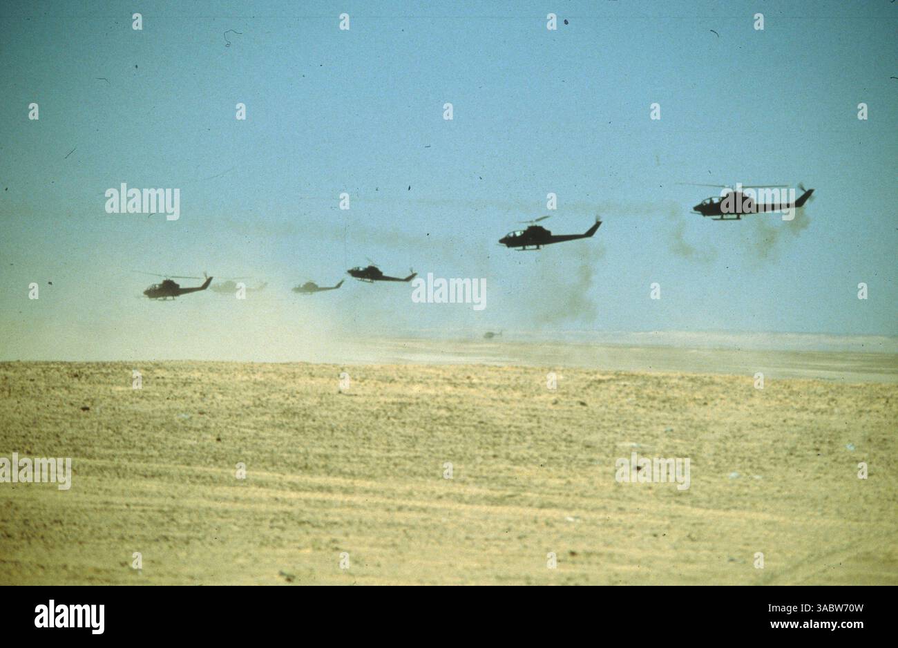 01 mar 2007 - At Land, in a Desert - forze militari join Training Operation, US, Egyptian and Sudanese Forces in the Desert Warfare (Credit Image: © Dept of Defense/ZUMA Press) RESTRIZIONI: (File foto: Data esatta e luogo sconosciuto) Foto Stock