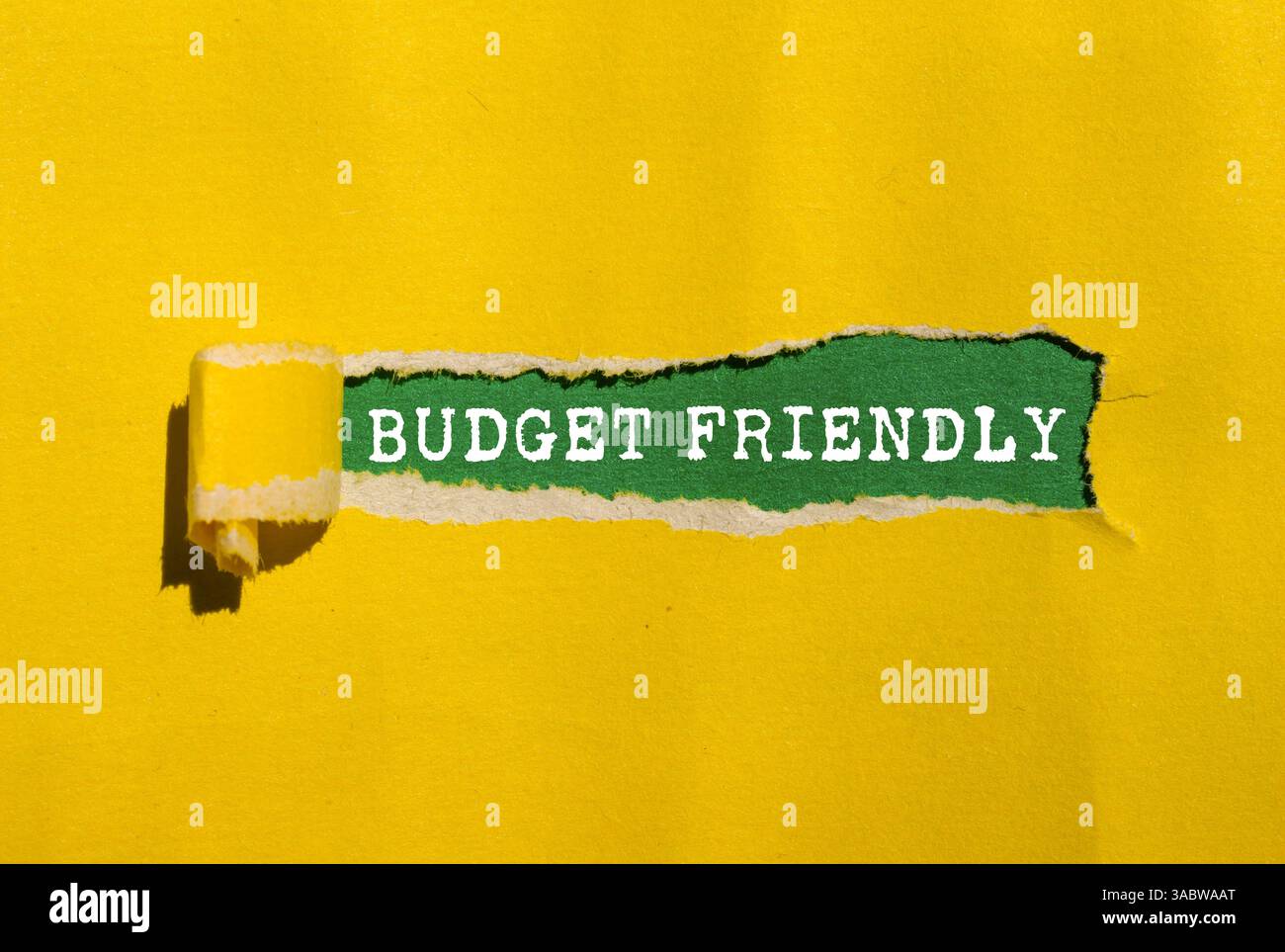 Messaggio economico scritto su un foglio giallo strappato su sfondo verde. Simbolo di budget concettuale. Copia spazio. Foto Stock