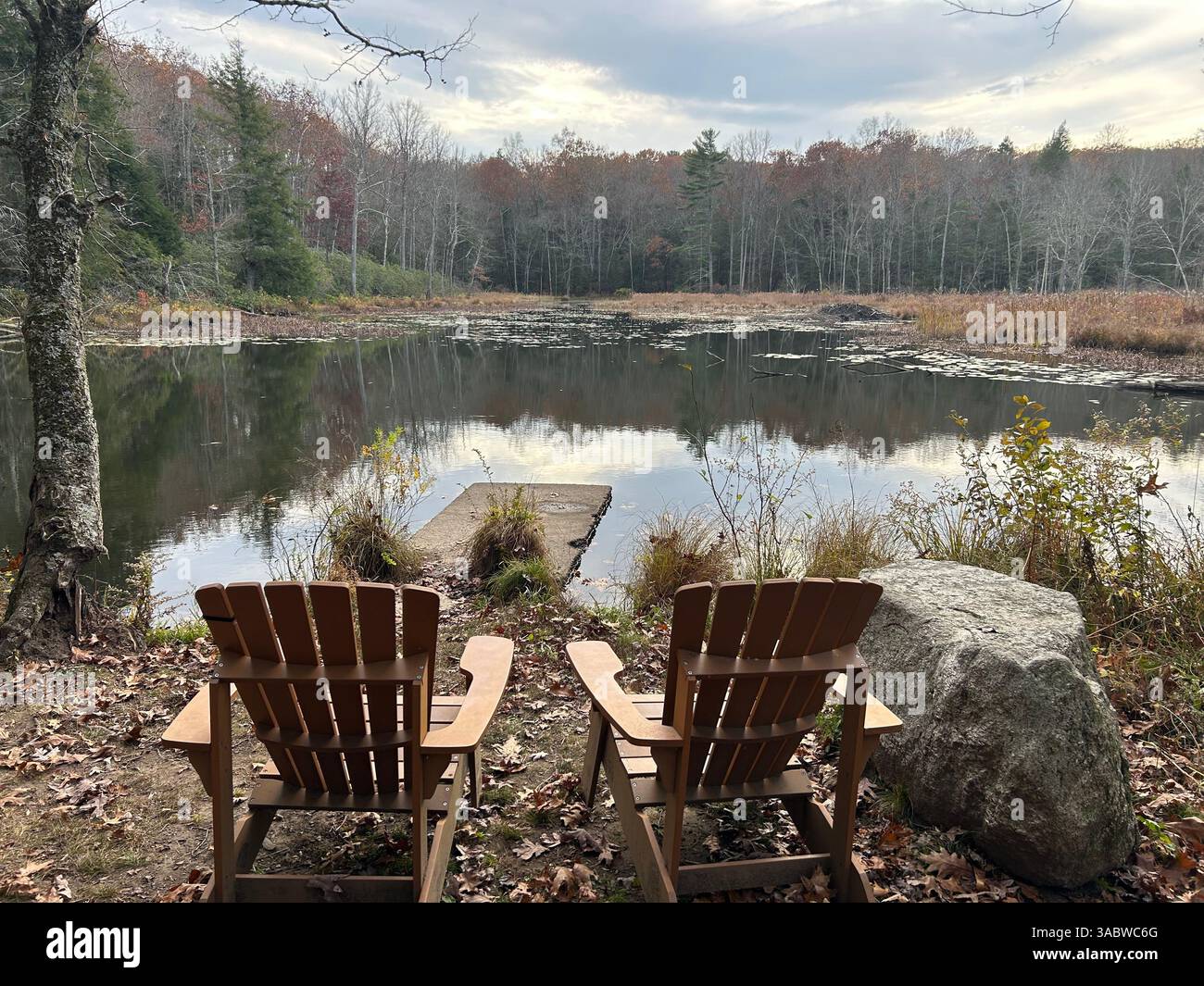 Autunno pomeriggio sul lago - Immagine stock catturata con smartphone