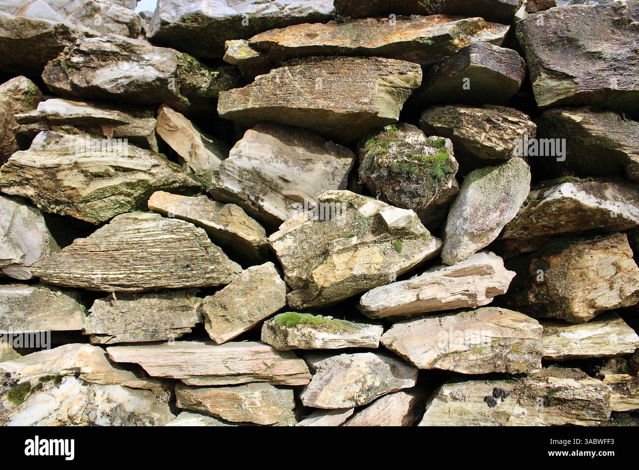 Parete in pietra naturale con rocce irregolari e consistenza muschio. Ideale per edifici ecologici, architettura rustica o uso su sfondo naturale. Foto Stock