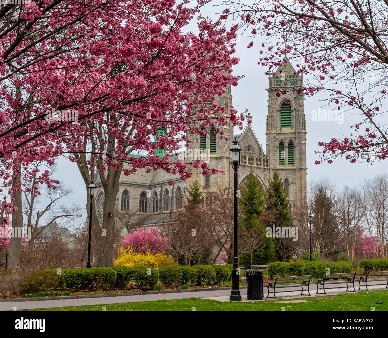 Newark, New Jersey - Stati Uniti - 30 marzo 2025 la Basilica del Sacro cuore della Cattedrale di Newark, incorniciata da vibranti fiori di ciliegio, fonde splendidi archi gotici francesi Foto Stock