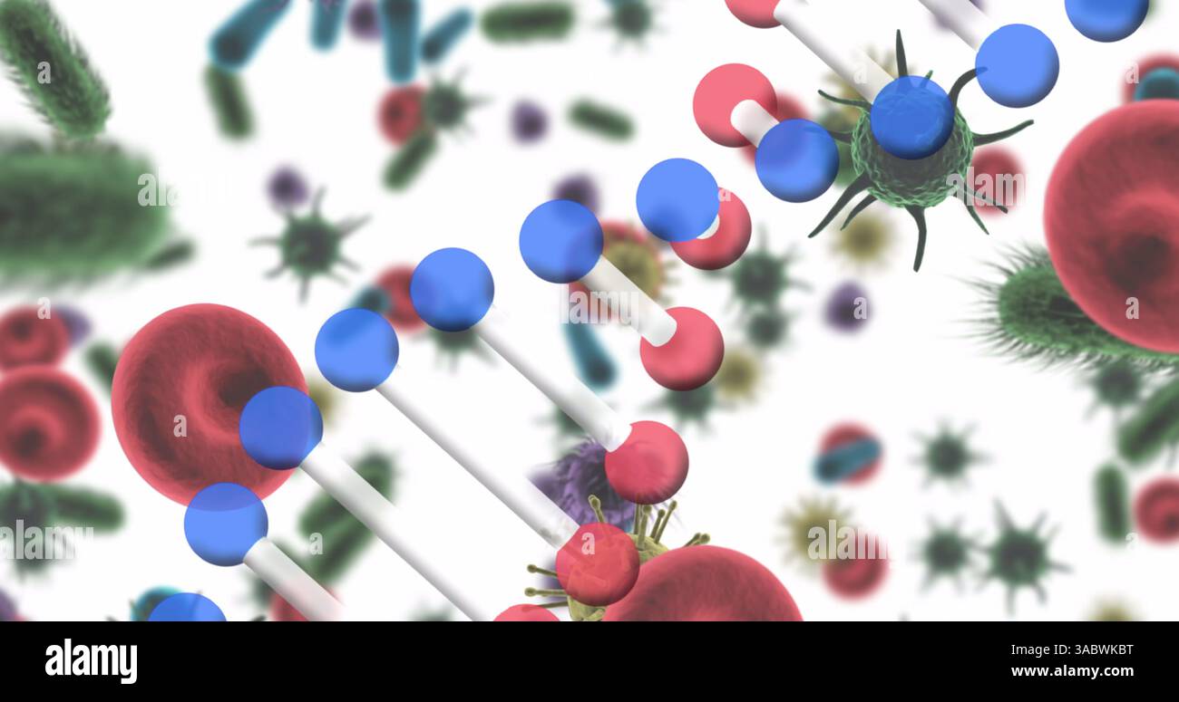 Immagine del filamento di dna che gira su piastrine e cellule ematiche Foto Stock