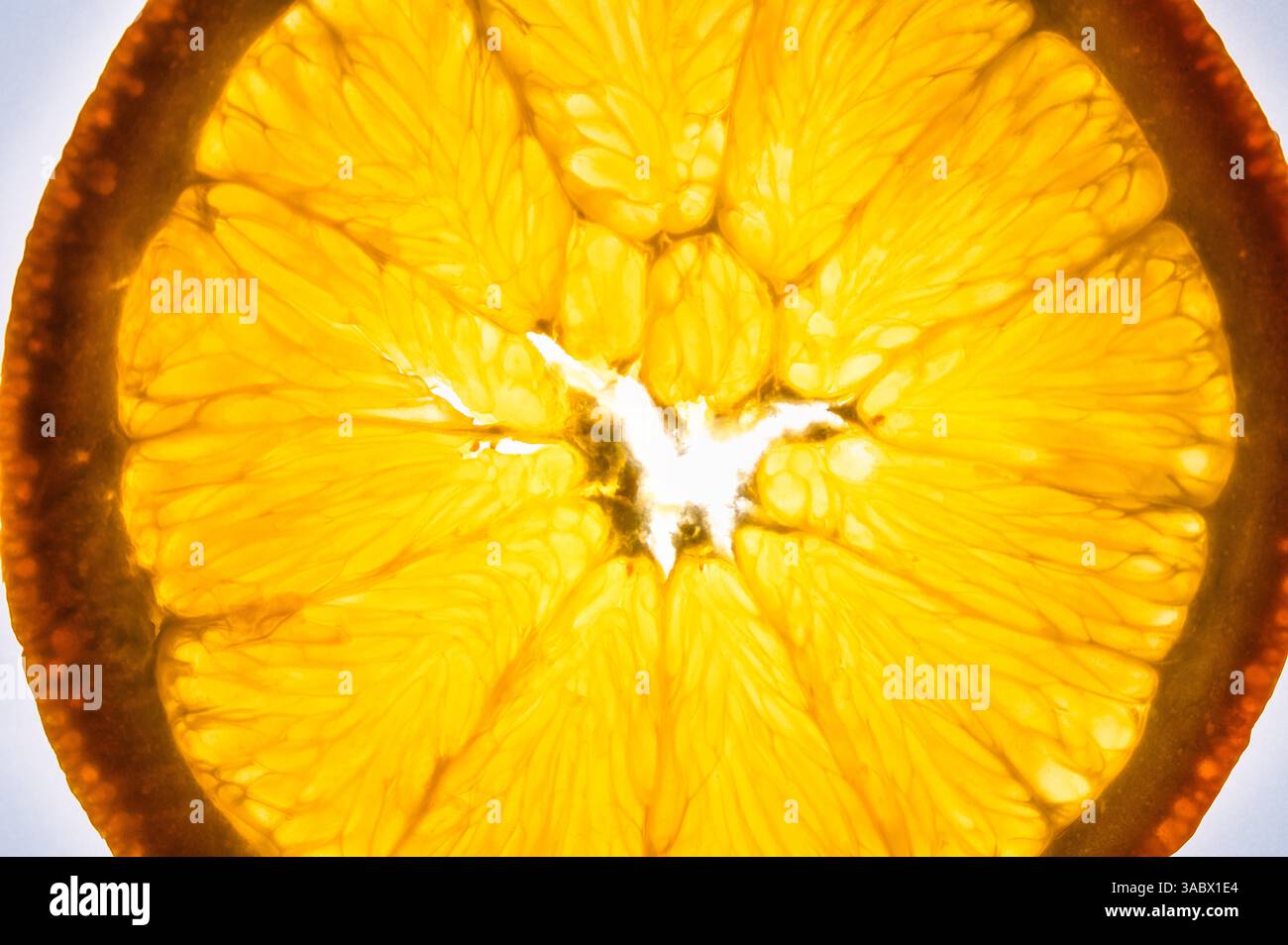 Sezione trasversale del centro di un arancione retroilluminato Foto Stock