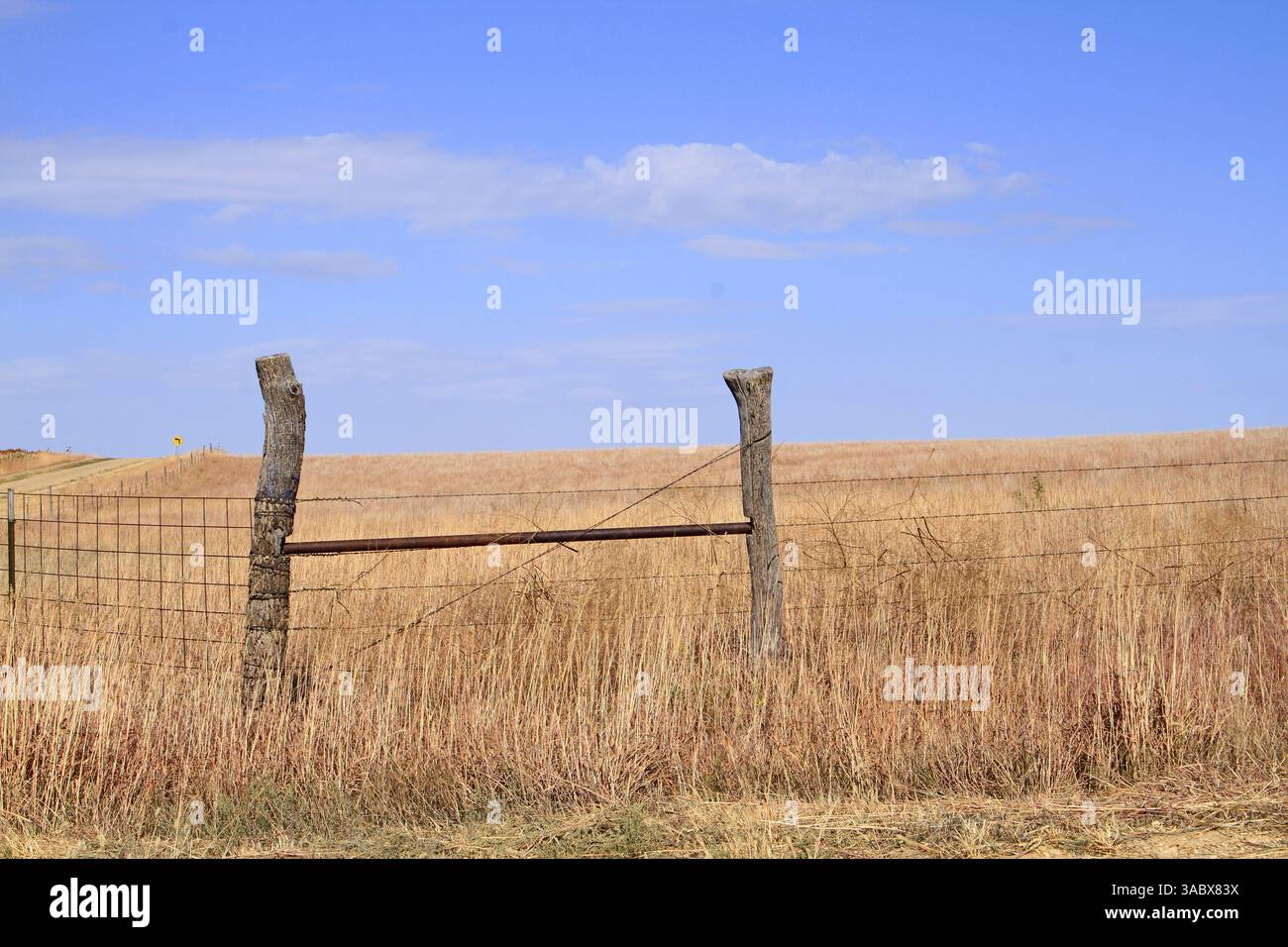 Erba del Kansas Prairie con una recinzione e un cielo blu Foto Stock