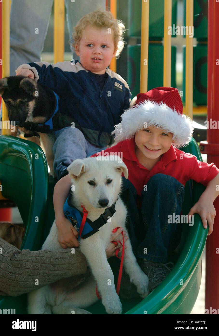 (Pubblicato il 12/27/2003, NC-6; SignOn Gallery: 12/29/2003) NSAssistPups214980x001 - shot 12/22/03 - Kyle Rupe, in alto a sinistra, età 2 1/2, si trova accanto al suo nuovo cane da servizio Shepard tedesco, il cui nome del canile è William, mentre Xavier Parris, età 6, in primo piano, tiene il suo cane da servizio Shepard tedesco bianco, Titan - entrambi cuccioli dati a questi ragazzi attraverso un'agenzia chiamata ARFKids. (I soggetti non sapevano cosa rappresentasse ARF). Ogni bambino ha una disabilità. Rupe è autistico e Parris ha subito una lesione cerebrale. I cani diventeranno i loro compagni e protettori. Foto Stock