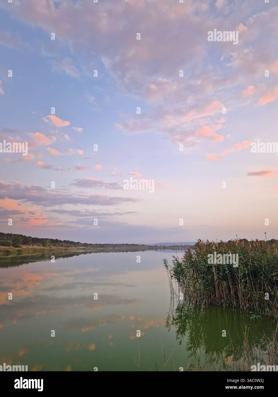 Serata silenziosa al lago. Splendido cielo estivo colorato e foresta verde all'orizzonte - Immagine stock catturata con smartphone