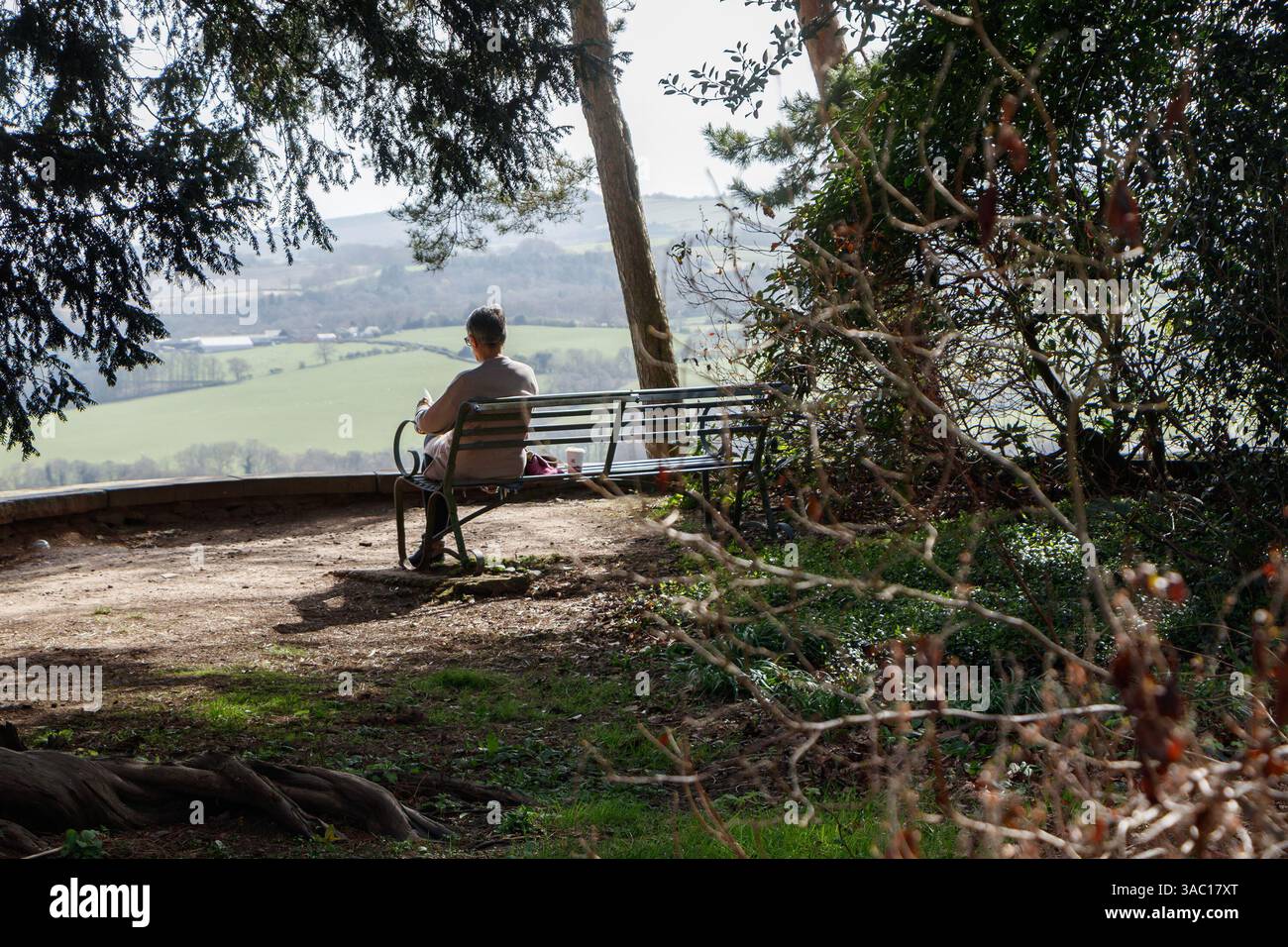 Donna anziana che legge un libro sulla panchina del parco con vista sul parco e sugli alberi stagliati dal sole al castello di Wentworth a Barnsley, South Yorkshire, Inghilterra. Foto Stock
