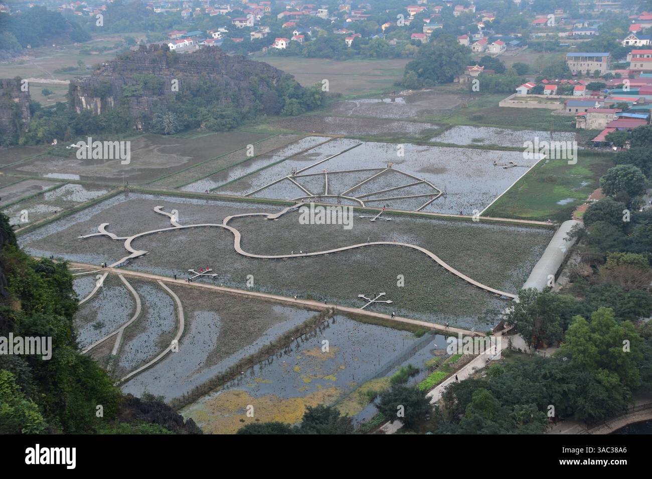 Passerella in legno sopraelevata che corre attraverso risaie allagate Foto Stock