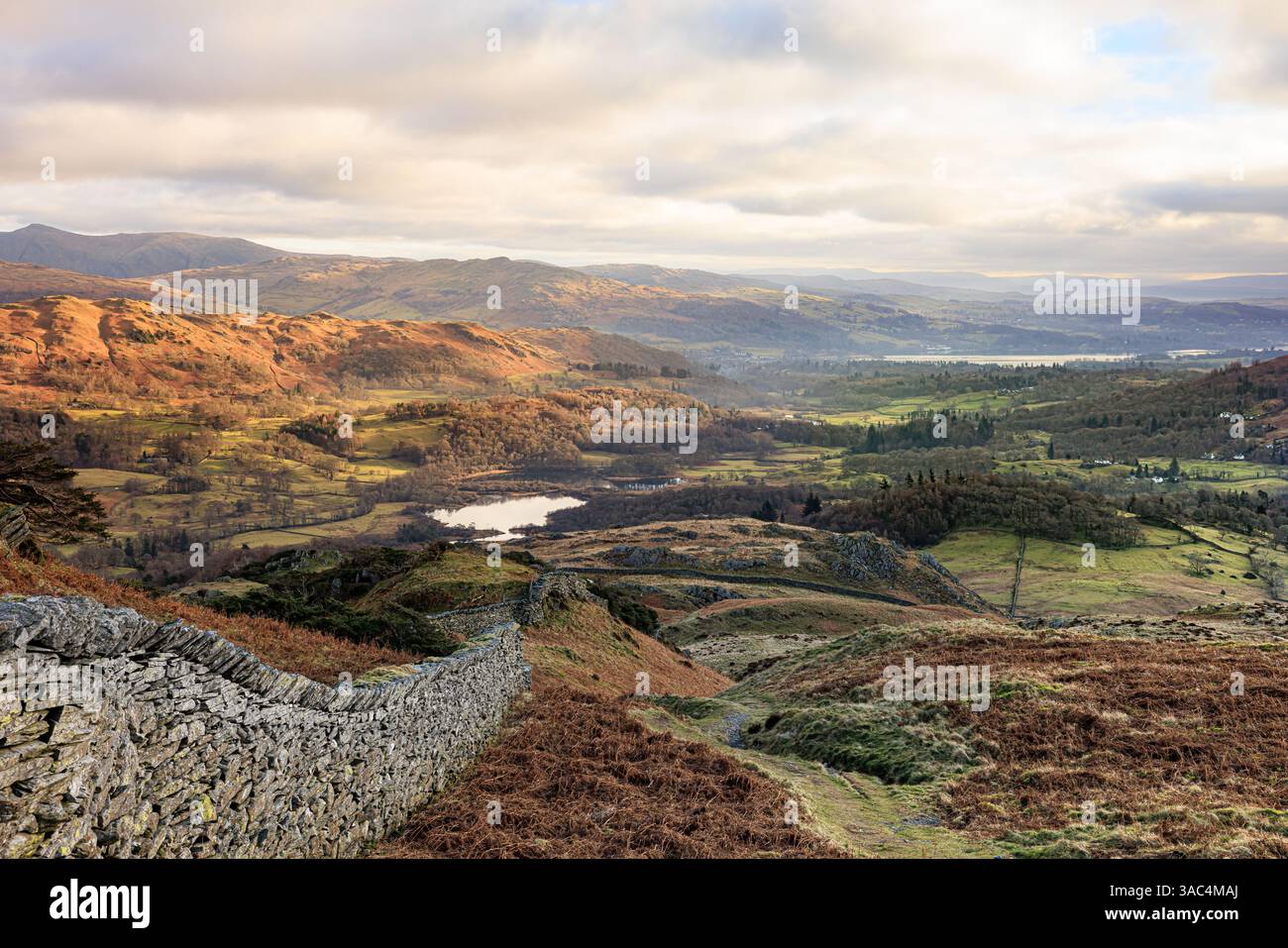 Vista dal Lingmoor Fell Foto Stock