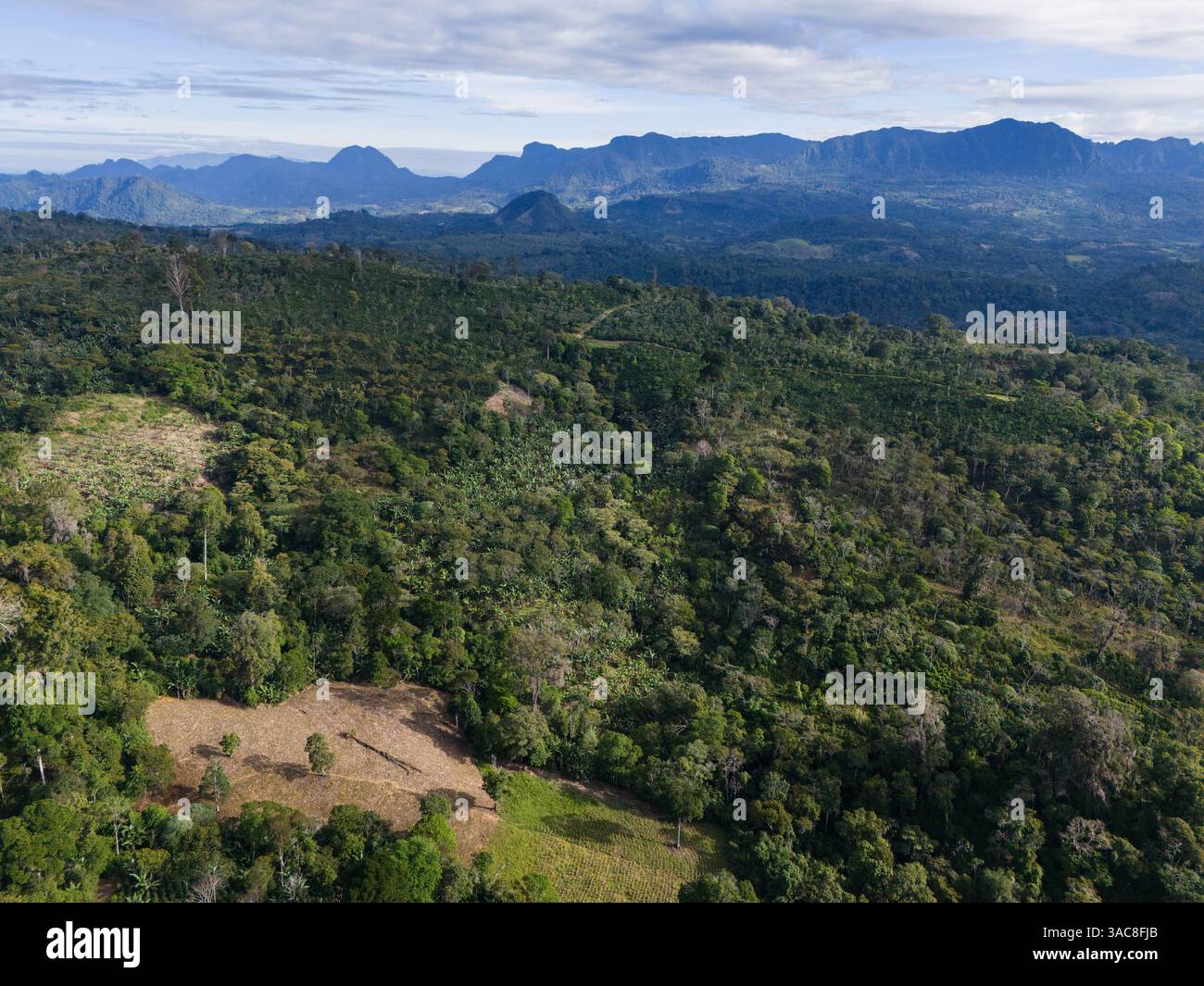 Vista aerea del paesaggio della foresta verde sulla Penas blancas Foto Stock