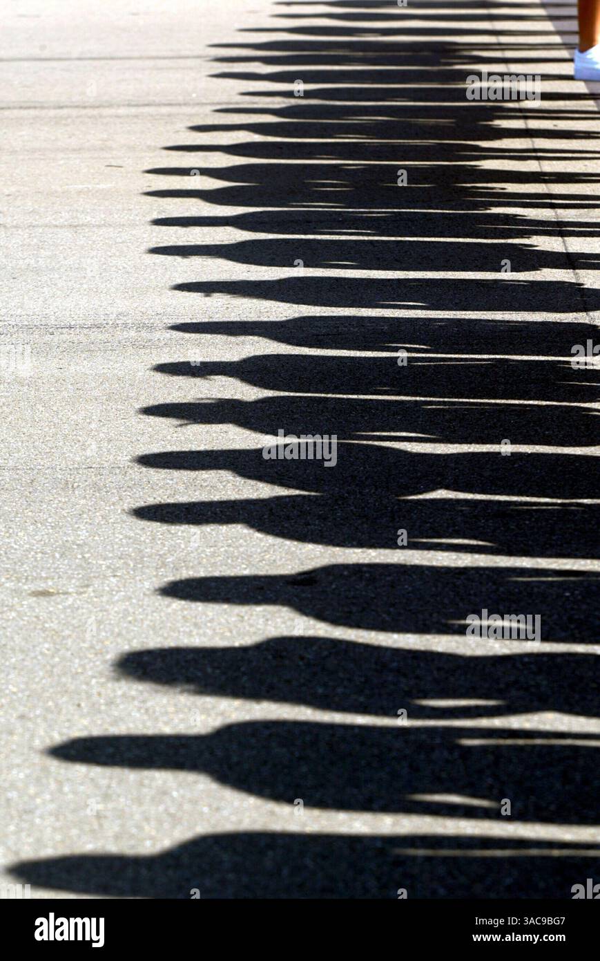 Grid Girls..Hungarian Grand Prix, Budapest, 18 agosto 2002..IMMAGINE DIGITALE (immagine di credito: ©Sutton Motorsports/ZUMA Press) Foto Stock
