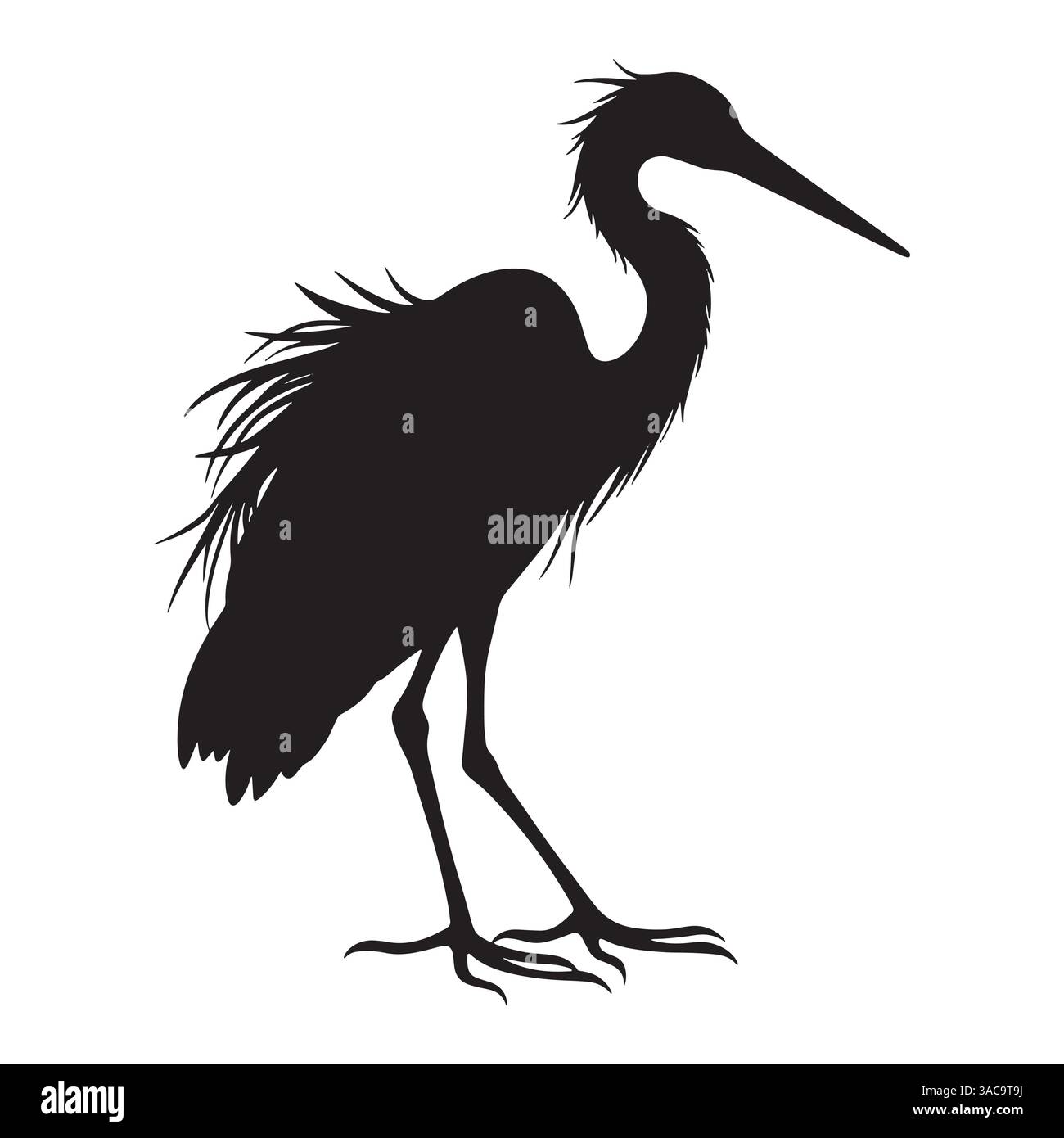 Splendida silhouette di egret, isolata su sfondo bianco. Illustrazione vettoriale ideale per disegni a tema uccelli e fauna selvatica. Perfetto per la natura A. Illustrazione Vettoriale
