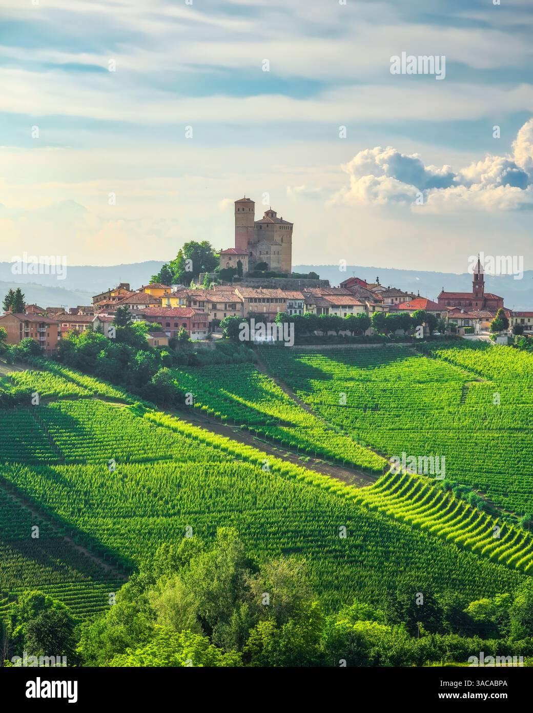 Vigneti delle Langhe e villaggio di Serralunga d'Alba con il castello. Regione Piemonte, Italia, Europa. Foto Stock