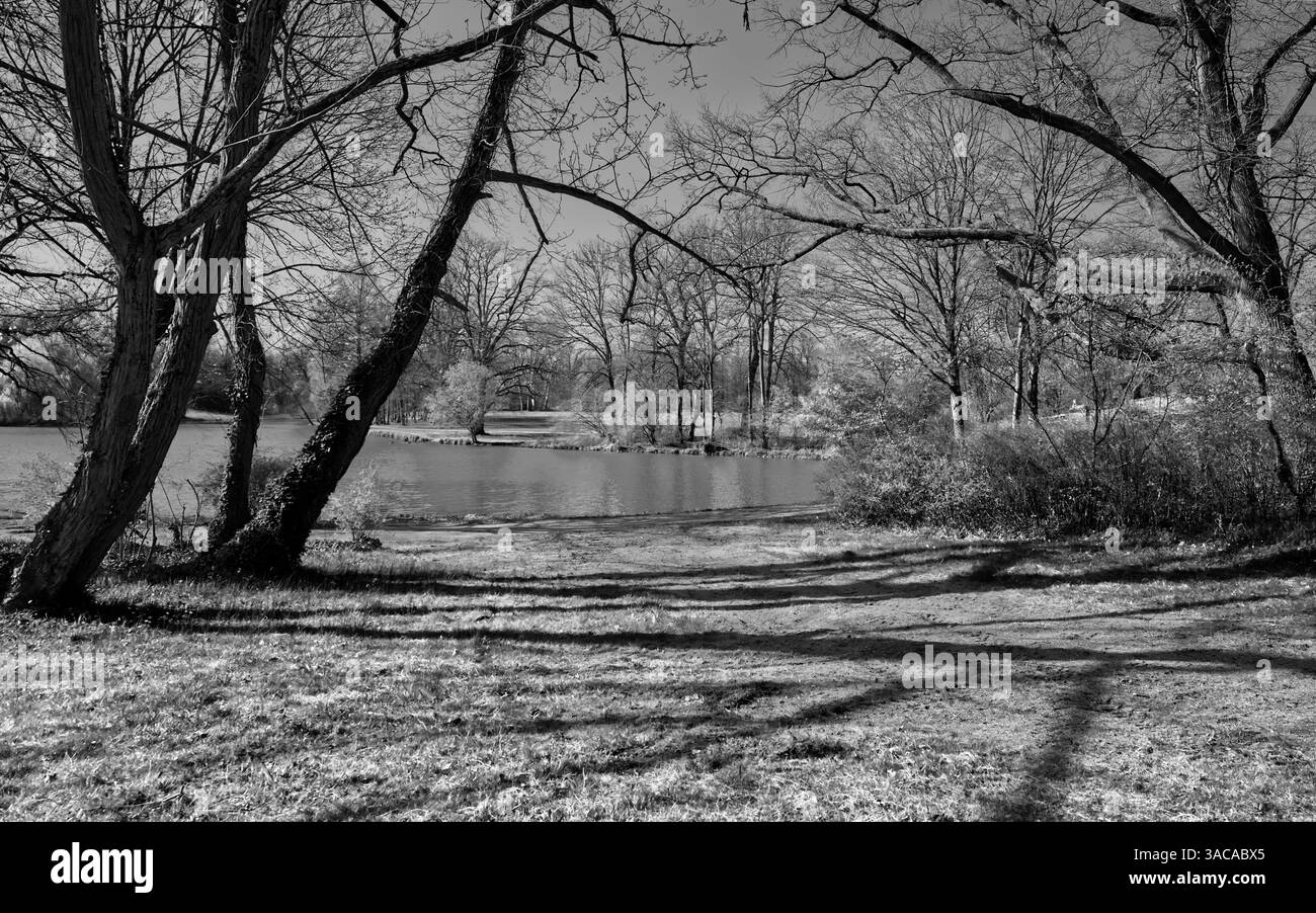 Immagine in bianco e nero di un suggestivo paesaggio del parco con vista sui prati di un lungolago incorniciato da alcuni alberi su entrambi i lati Foto Stock