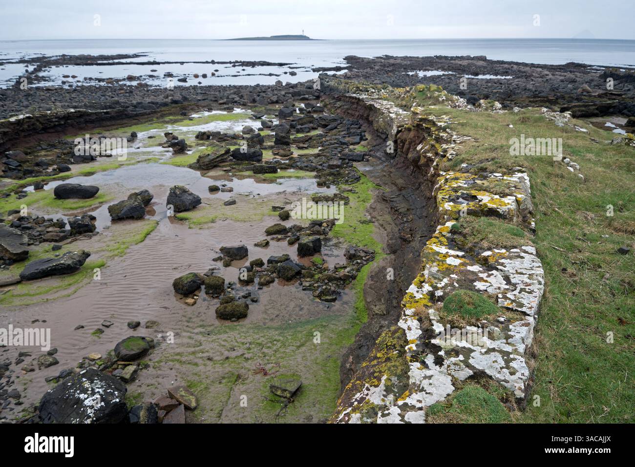 Litorale a Kildonan sull'isola di Arran, Scozia, Regno Unito. Foto Stock