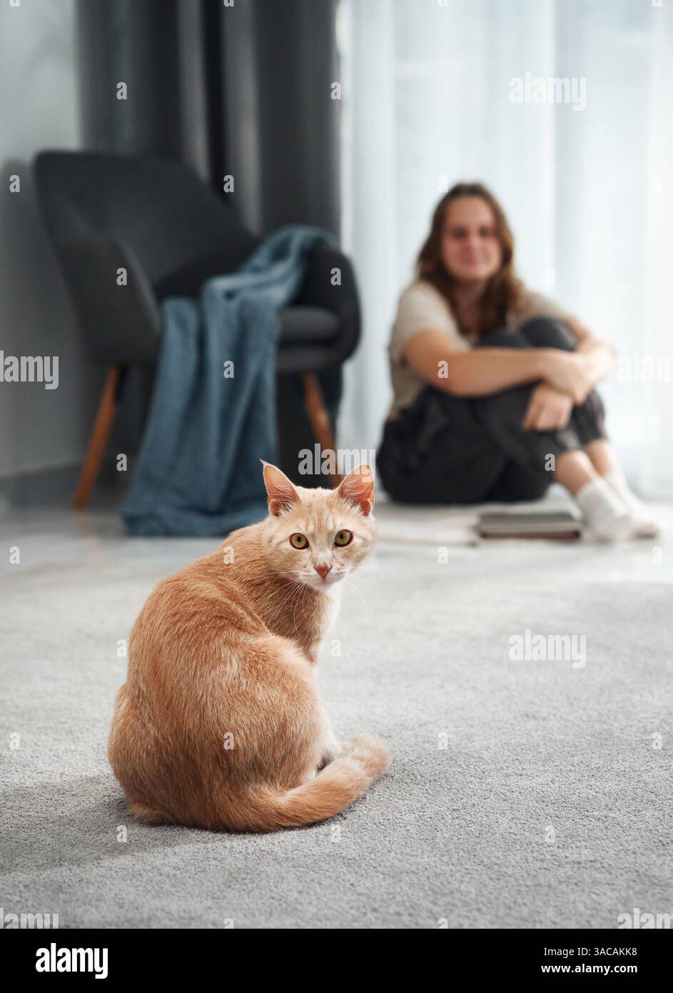 Un gatto di zenzero si gira per guardare una donna seduta su un morbido pavimento in moquette. L'atmosfera è tranquilla e luminosa. Foto Stock