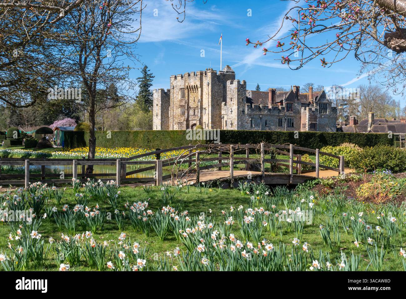 Vista del castello di Hever e dei giardini con narcisi in fiore in un giorno di primavera soleggiato, Kent, Inghilterra, Regno Unito Foto Stock